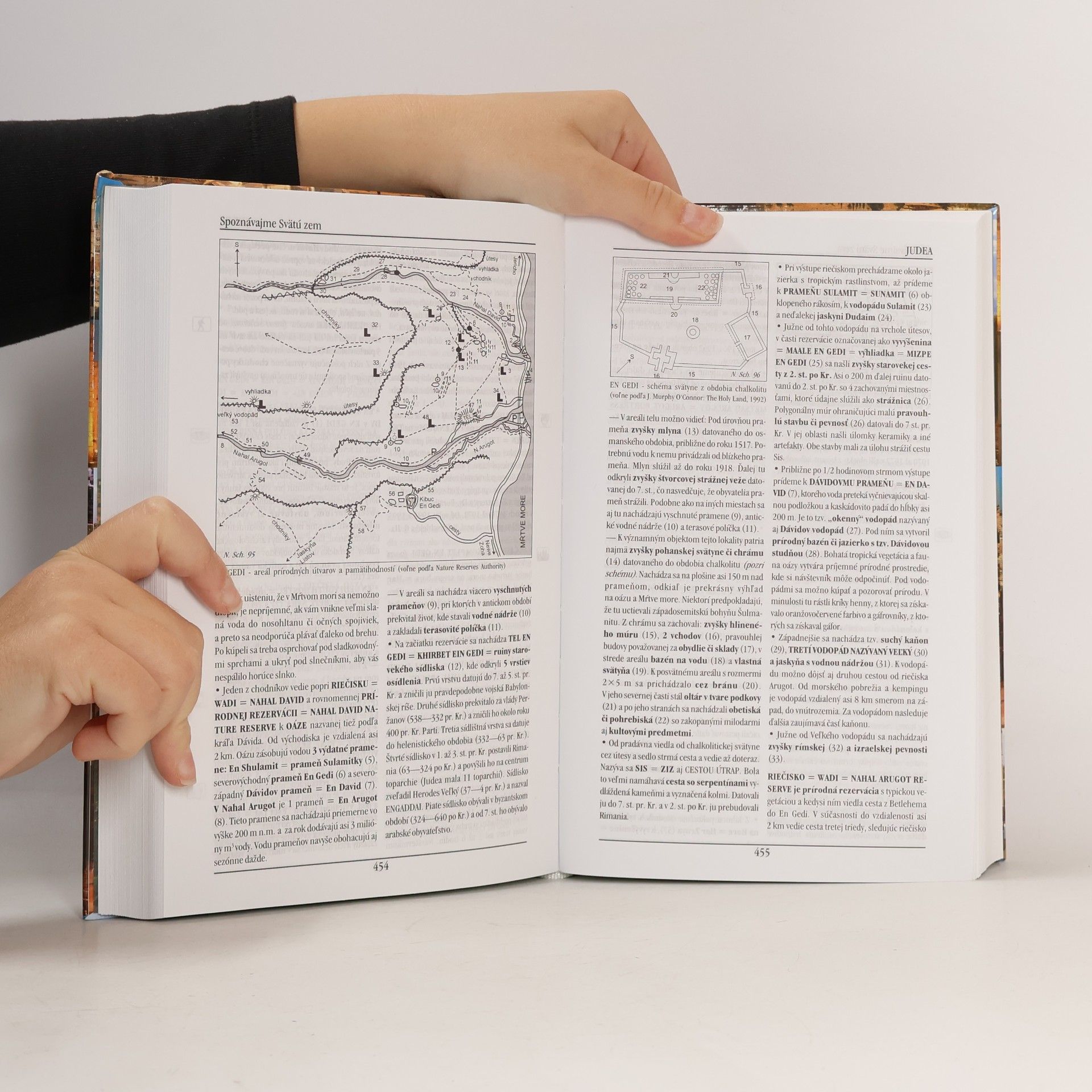 Ján Majerník Spoznávajme Svätú zem pohľadom archeológov a biblistov