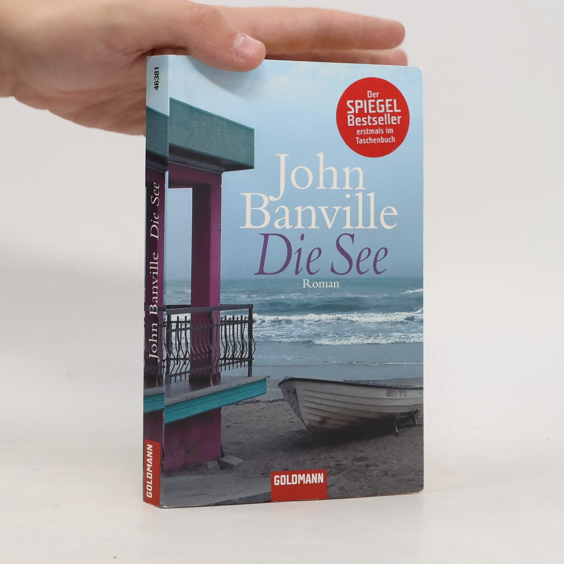 John Banville Die See