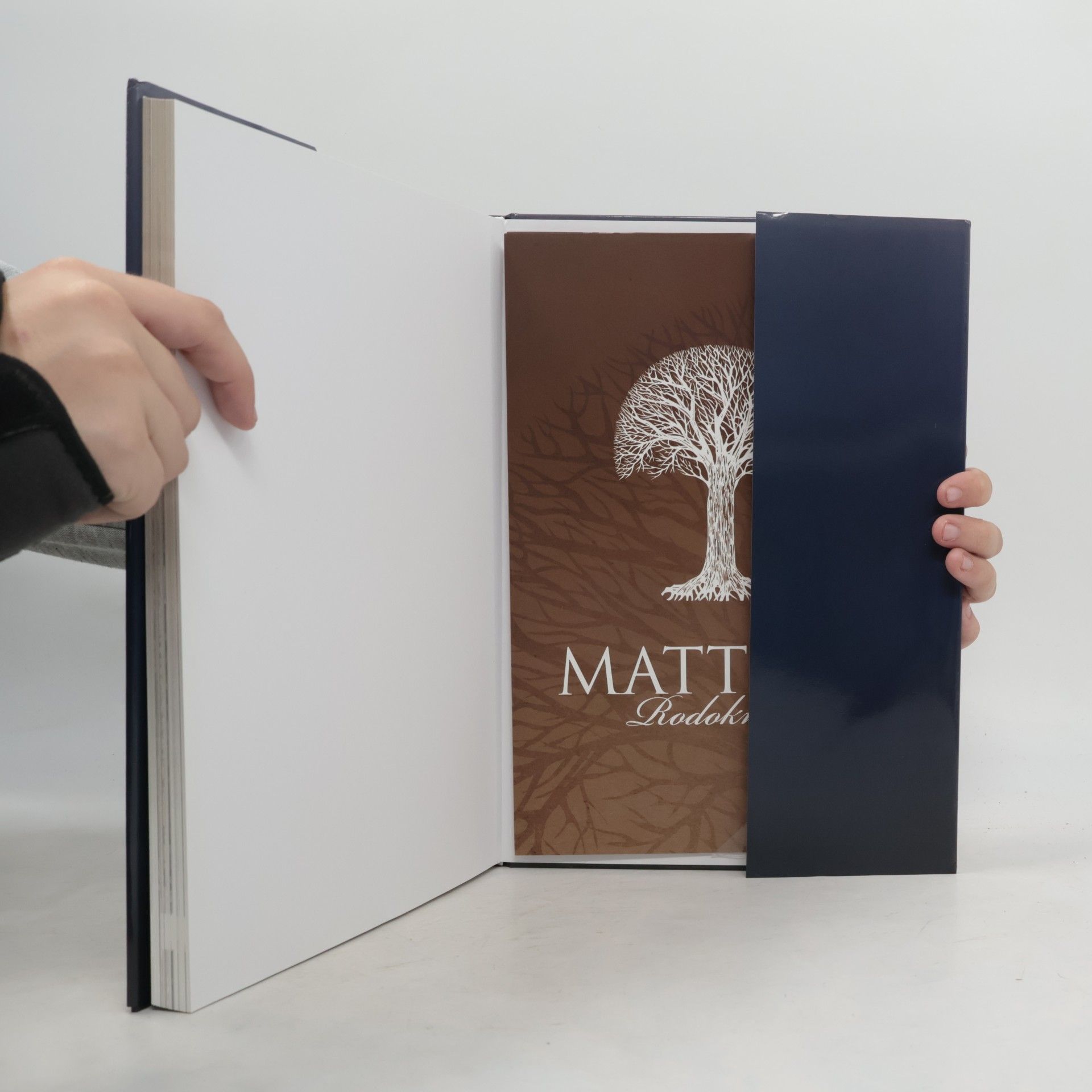 Stanislav Burachovič Historica Mattoni : příběh Heinricha Edlera von Mattoni, slavného exportéra minerálních vod, a jeho lázní Kyselka
