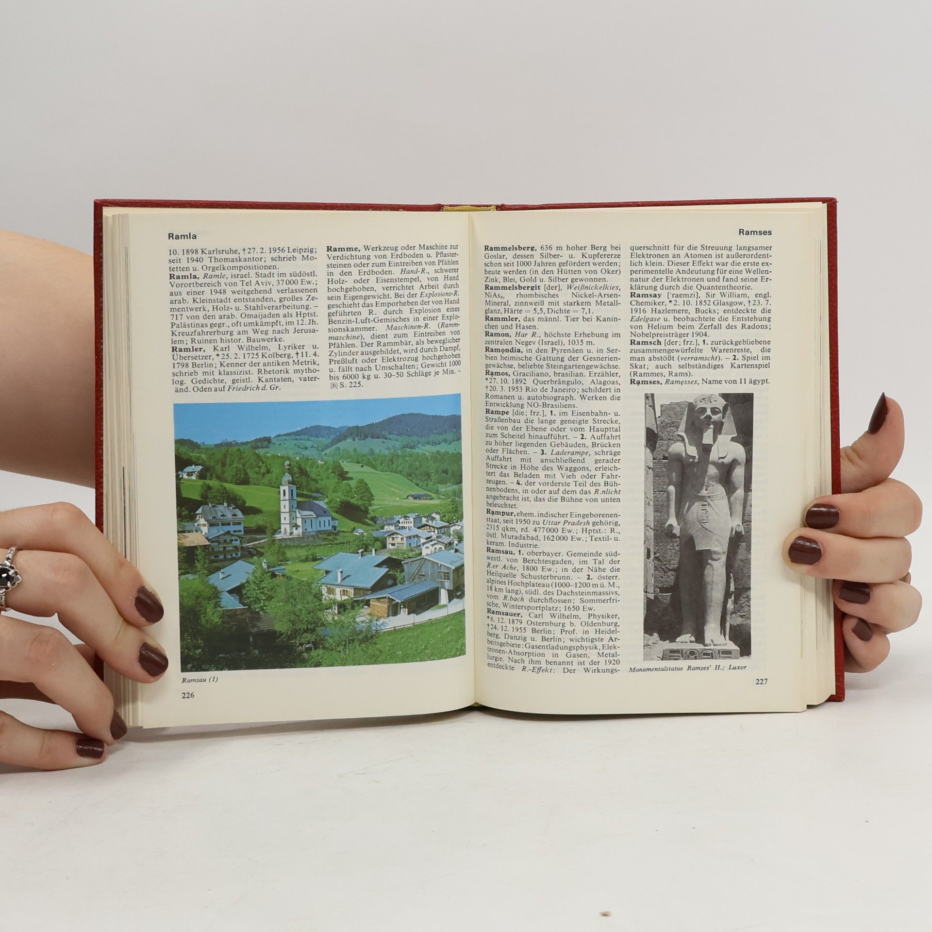 Harald Bukor Das moderne Lexikon 15