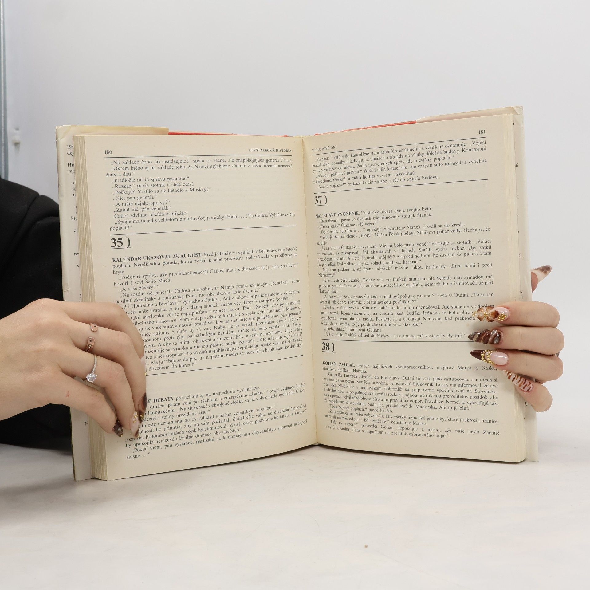 Viliam Plevza Povstalecká história