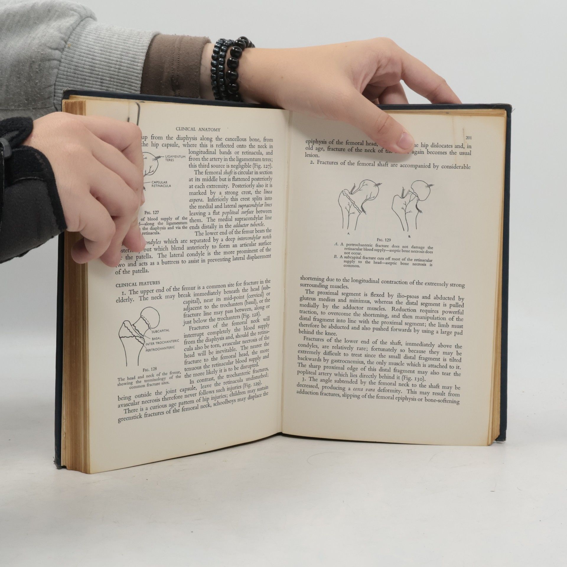 kolektiv Clinical Anatomy