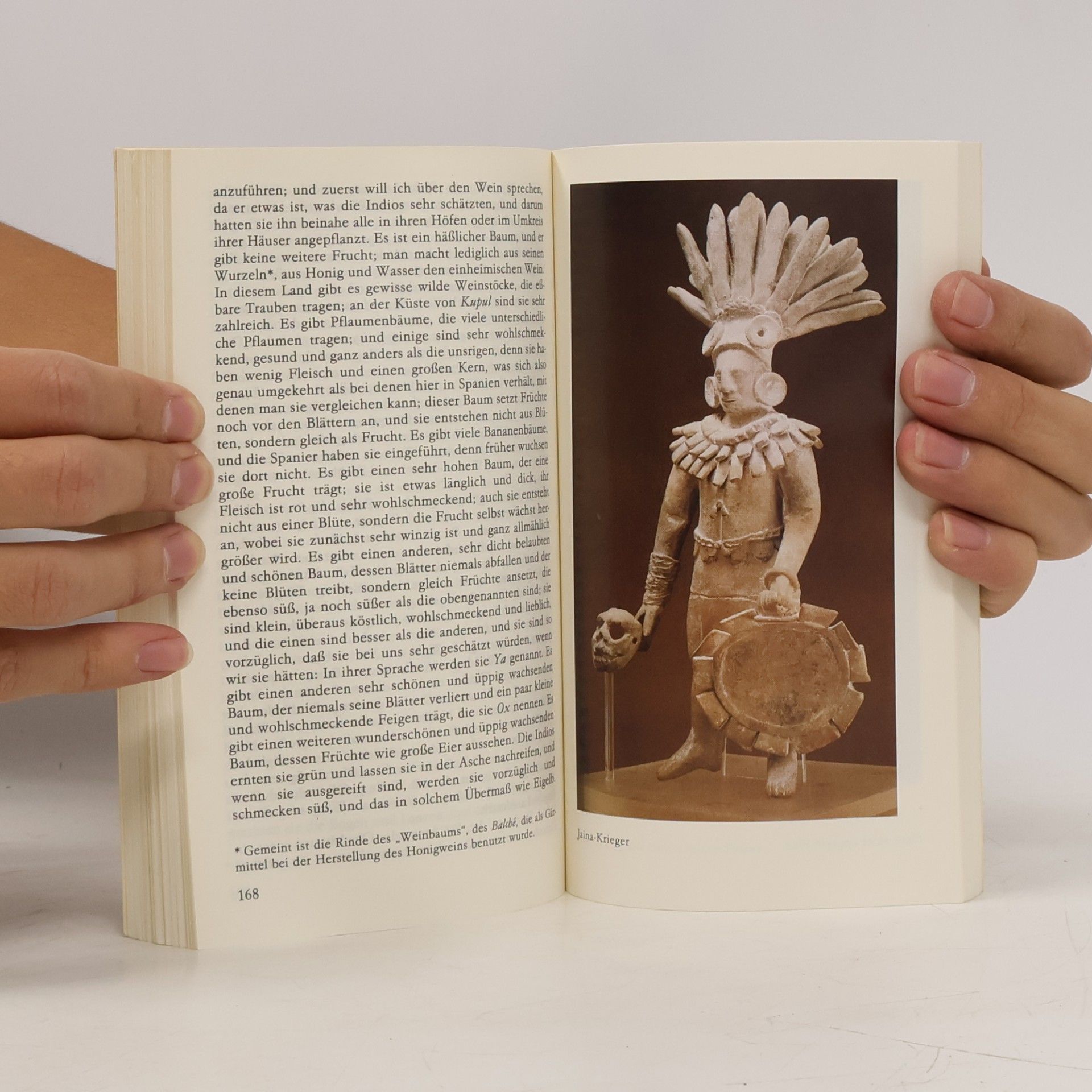 Diego de Landa Bericht aus Yucatán
