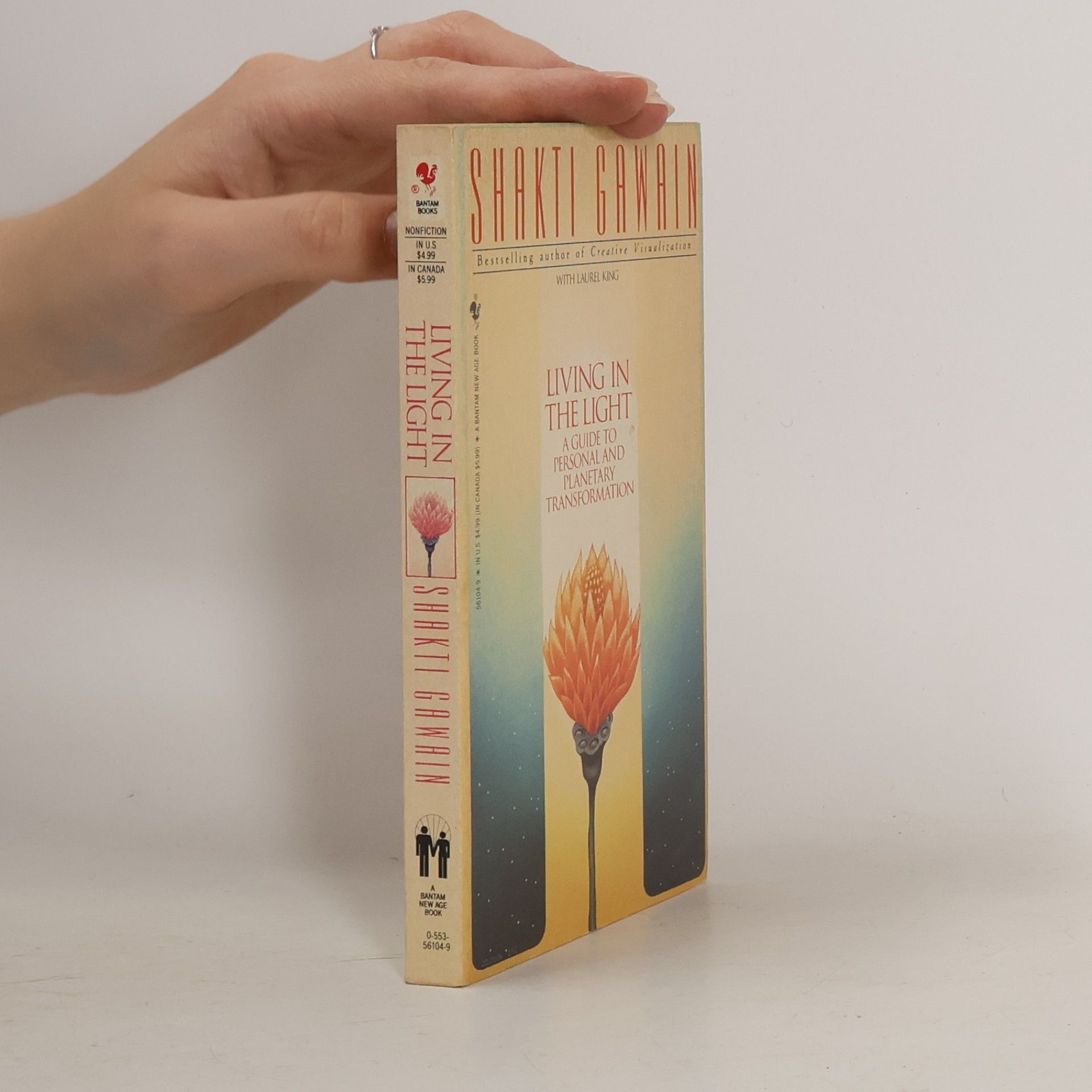 Shakti Gawain Living in the Light