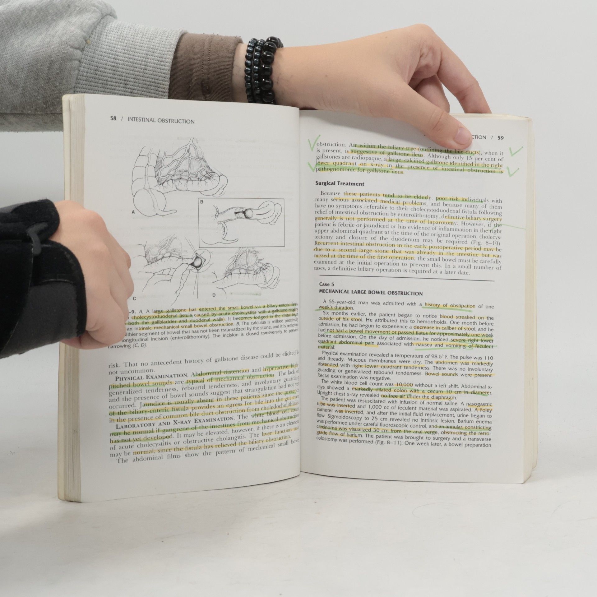 David H. Levien Introduction to Surgery - Second Edition