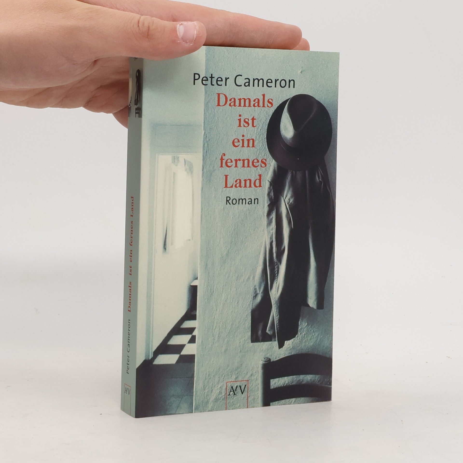 Peter Cameron Damals ist ein fernes Land