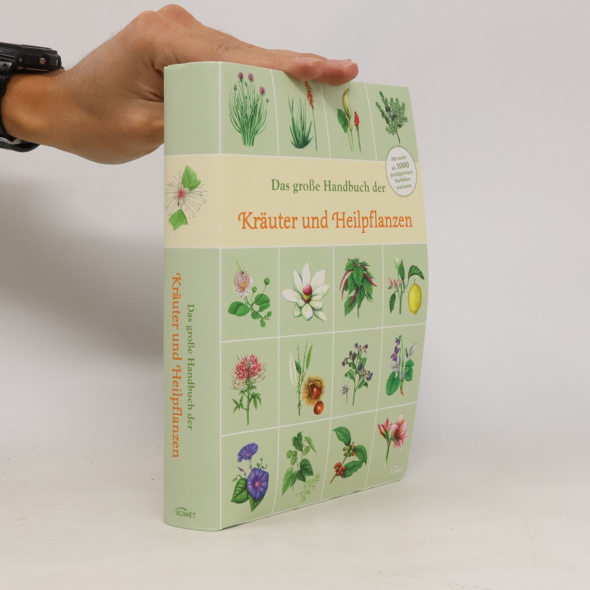Hans W. Kothe Das große Handbuch der Kräuter und Heilpflanzen
