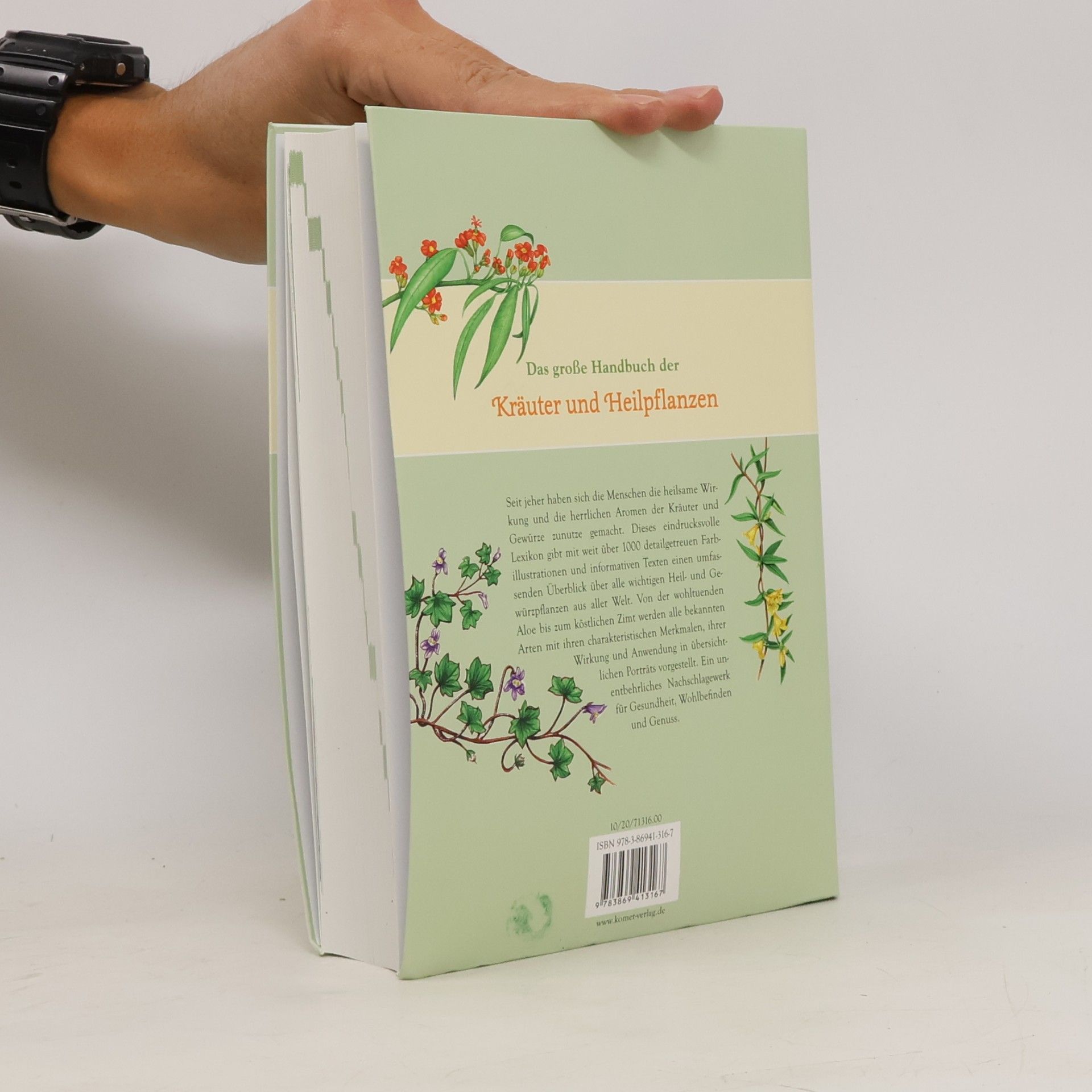 Hans W. Kothe Das große Handbuch der Kräuter und Heilpflanzen