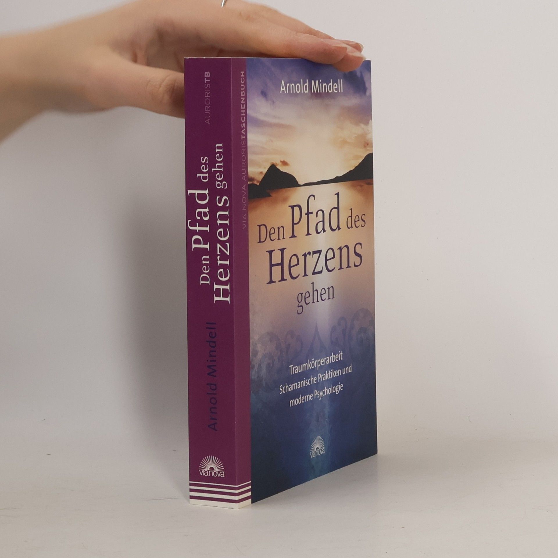 Arnold Mindell Den Pfad des Herzens gehen