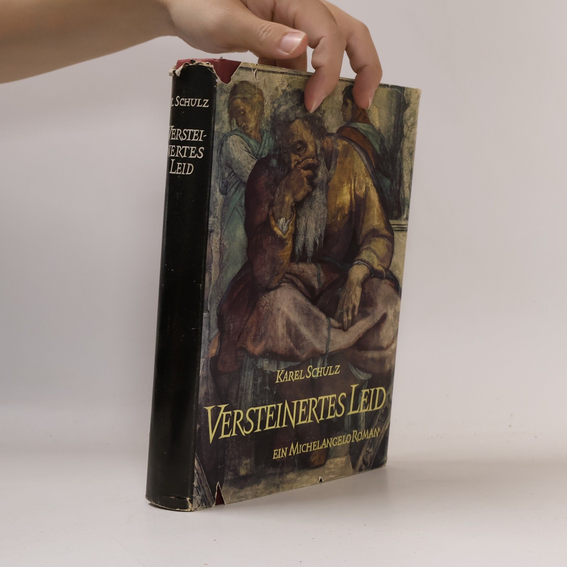 Karel Schulz Versteinertes Leid