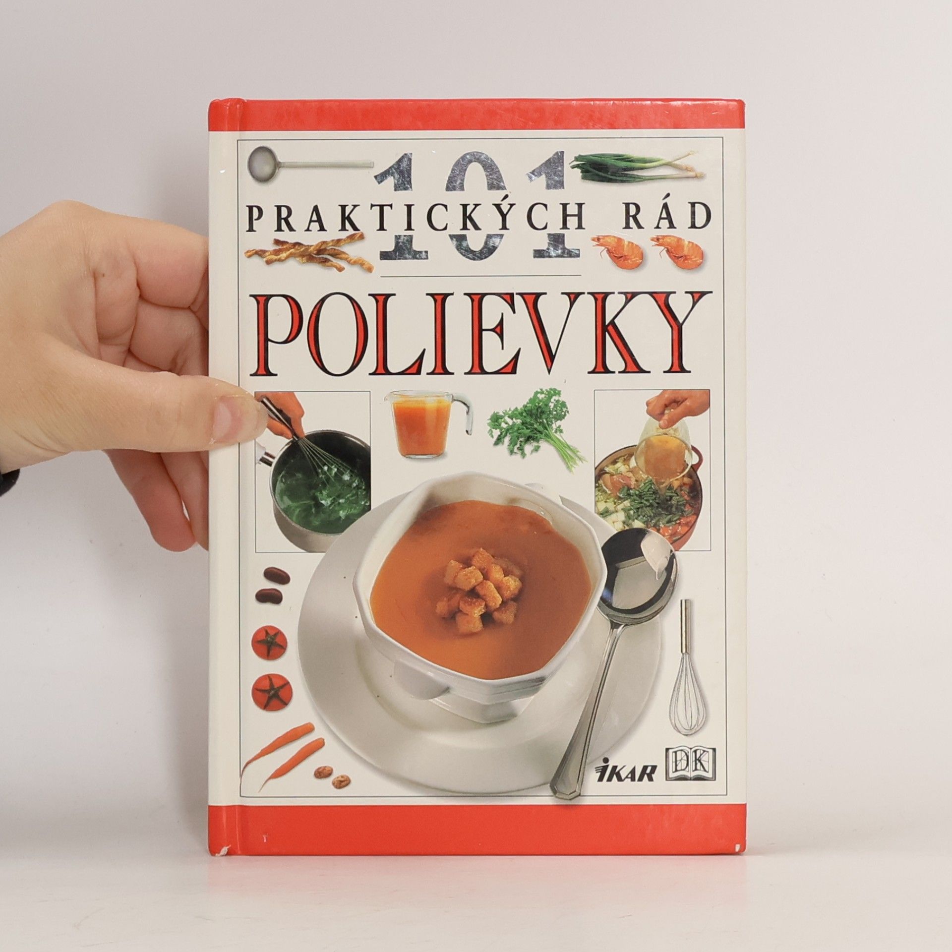 Anne Willan 101praktických rád polievky