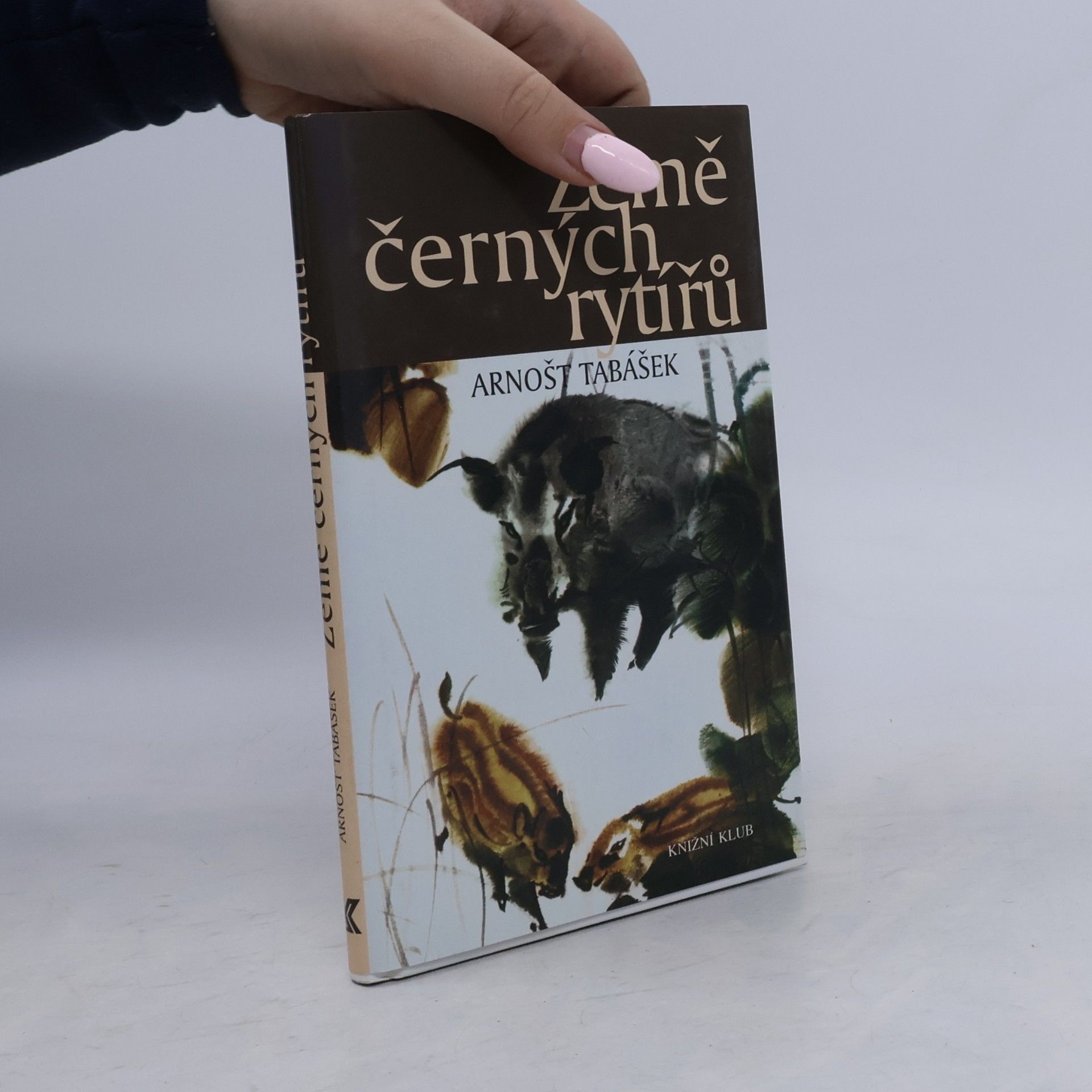 Země černých rytířů