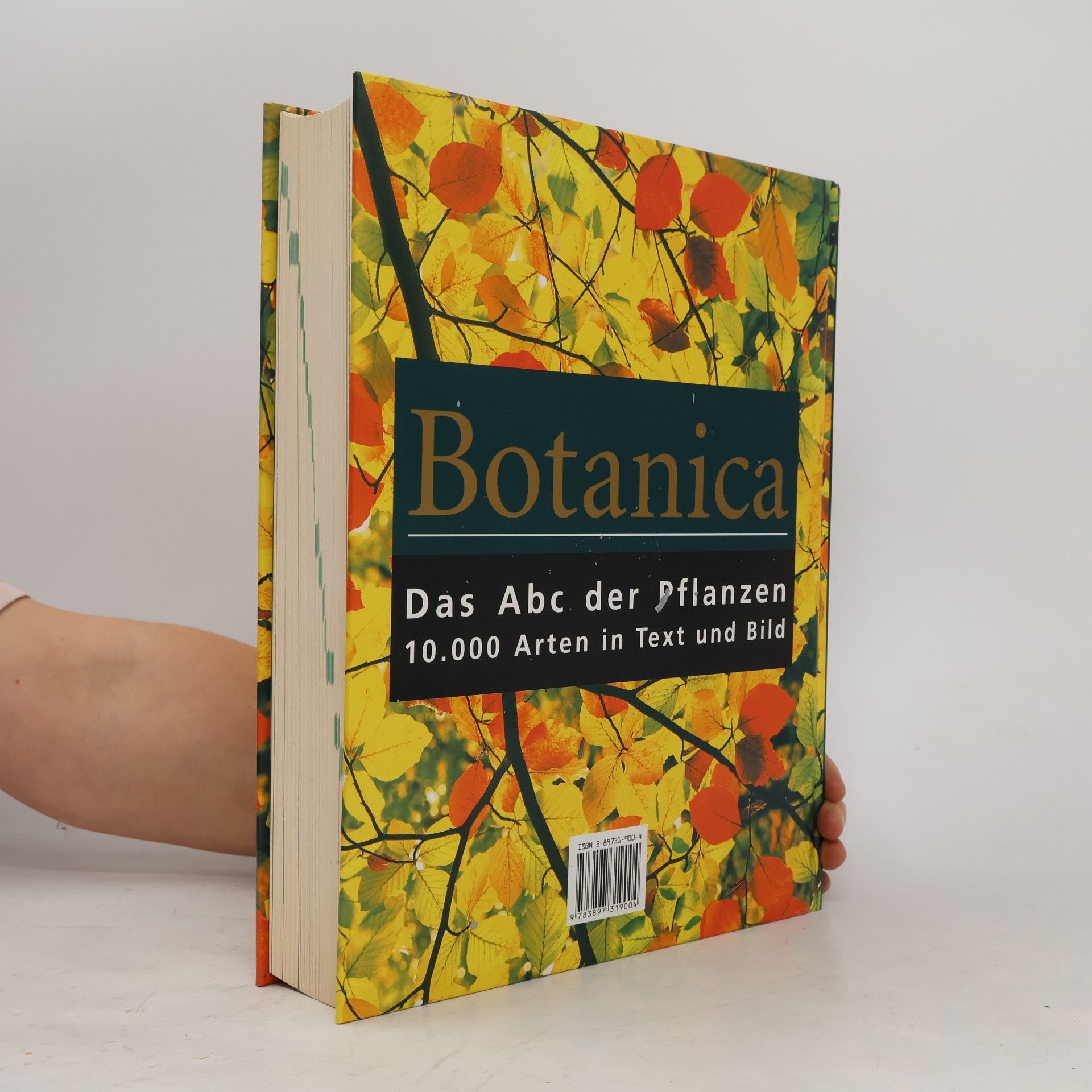 Gordon Cheers Botanica