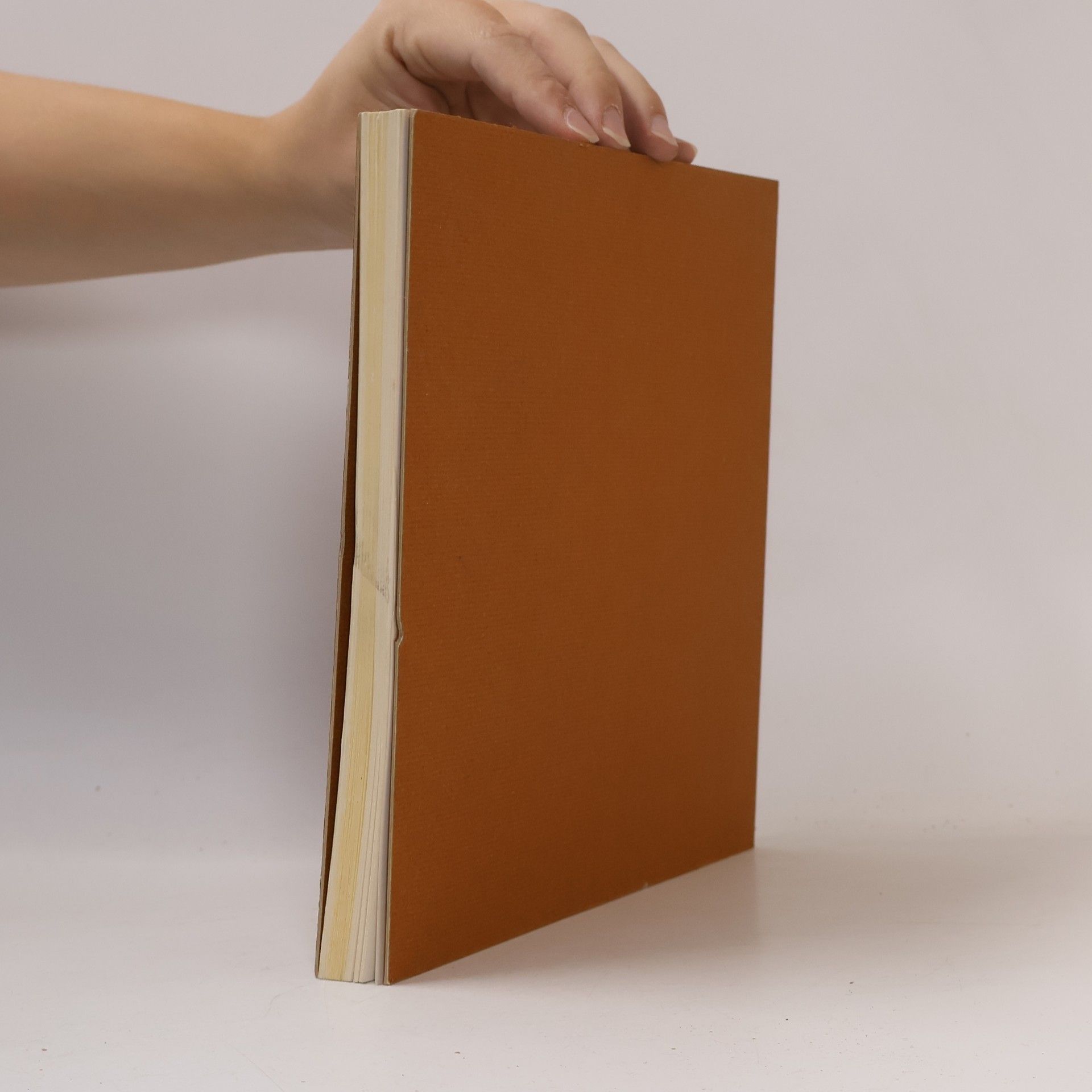 kolektiv The Marzotto-Europe Prize for Painting 1968