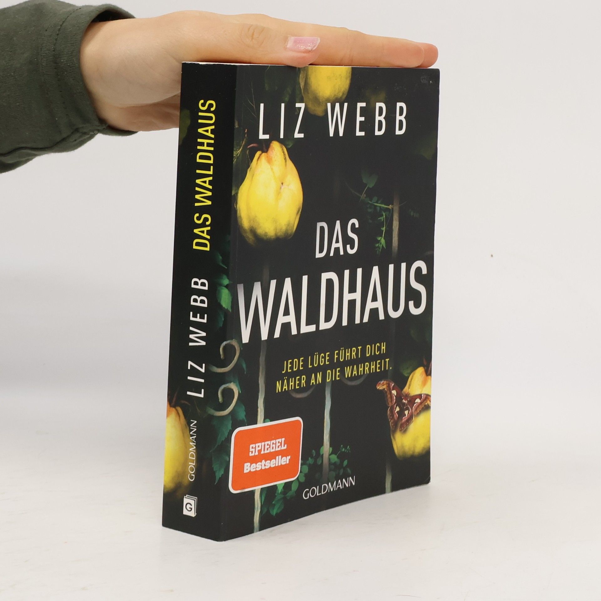 Das Waldhaus