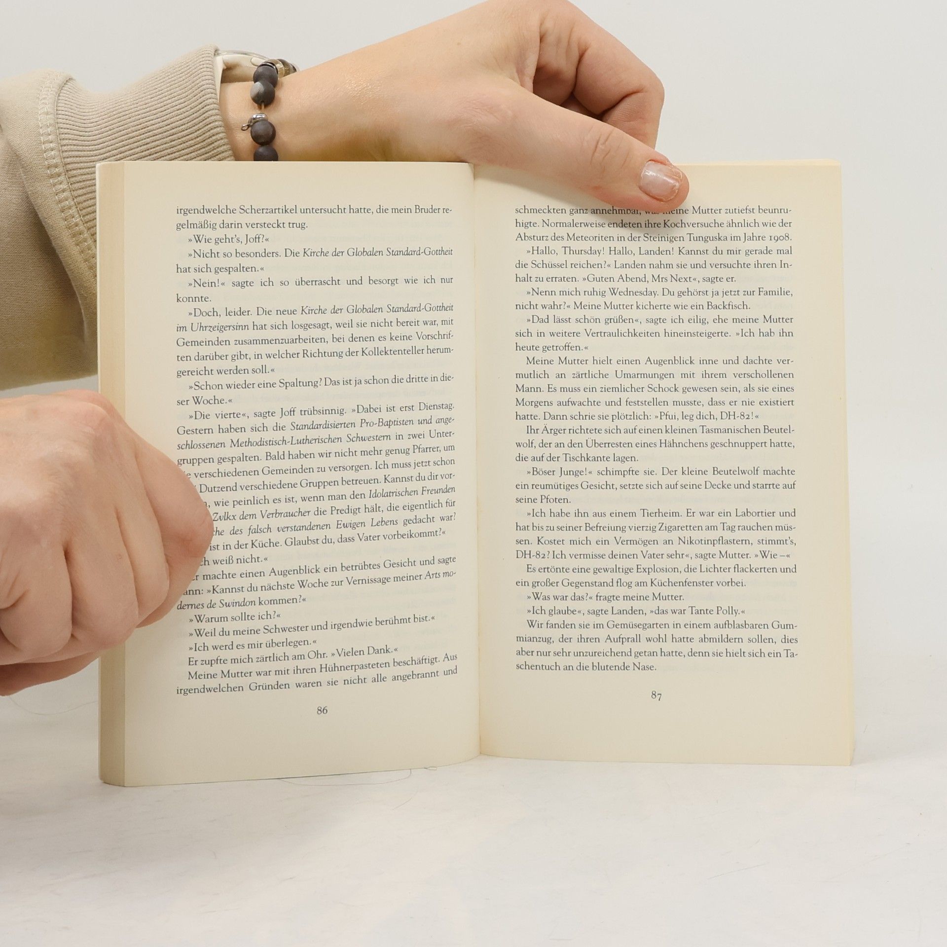 Jasper Fforde In einem anderen Buch