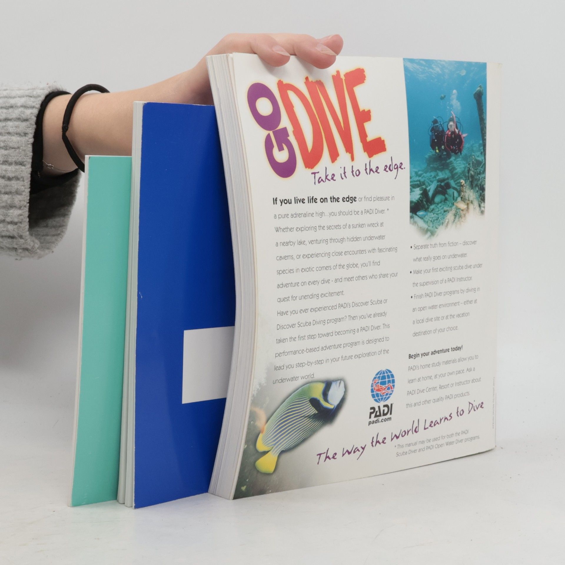 Kolektiv autorů Go Dive
