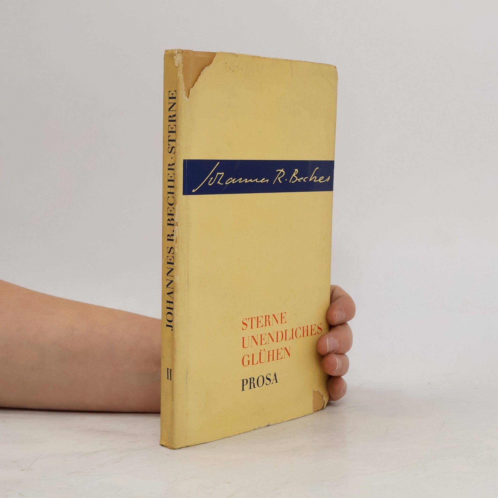 J. R. Becher Sterne, unendliches Glühen II.