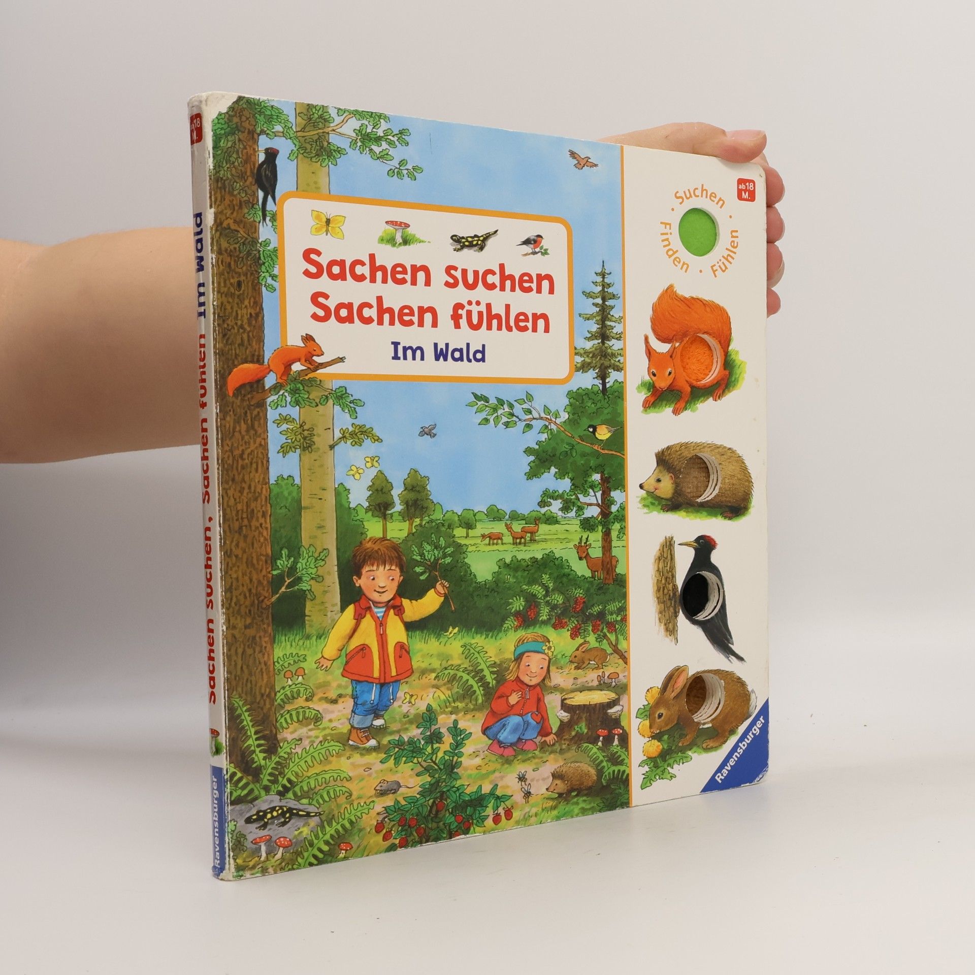 Sachen suchen, Sachen fühlen: Im Wald