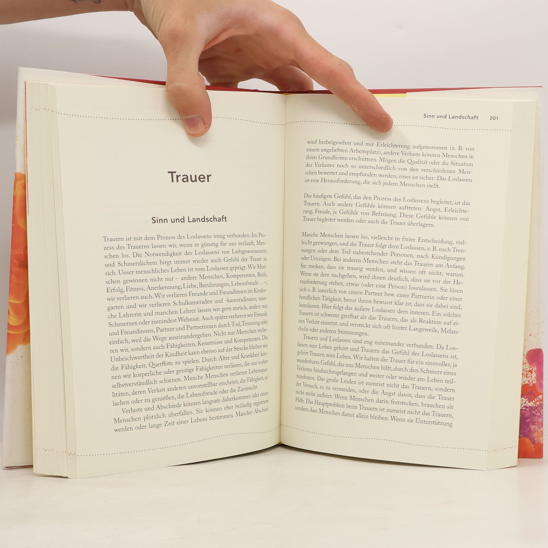 Udo Baer Das große Buch der Gefühle