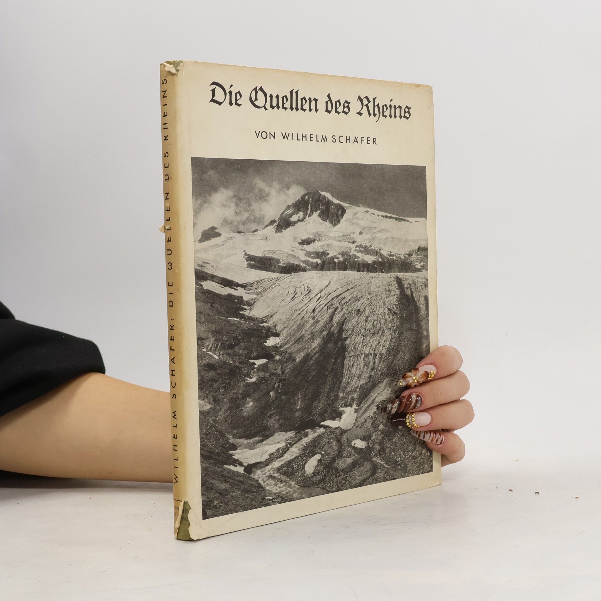 Die Quellen des Rheins