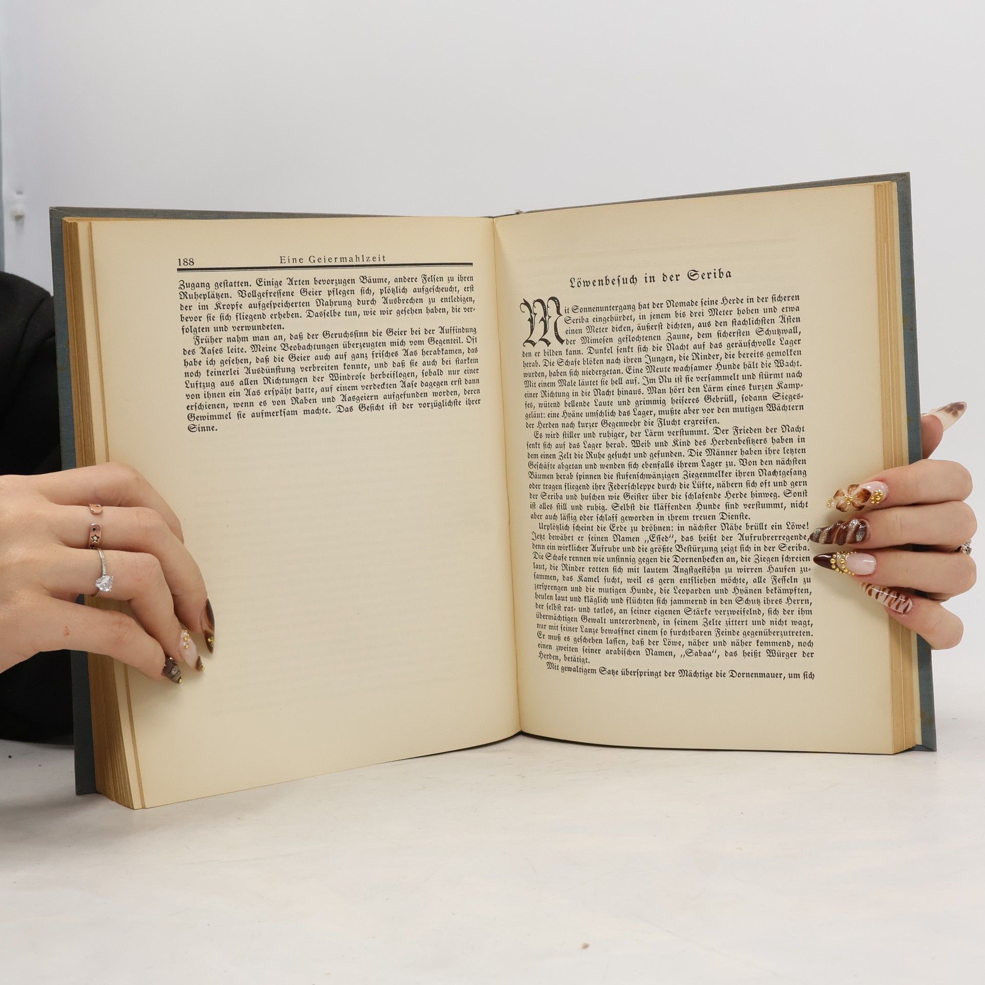 Various authors Brehm Auf Forscherfahrt in Nord und Süd