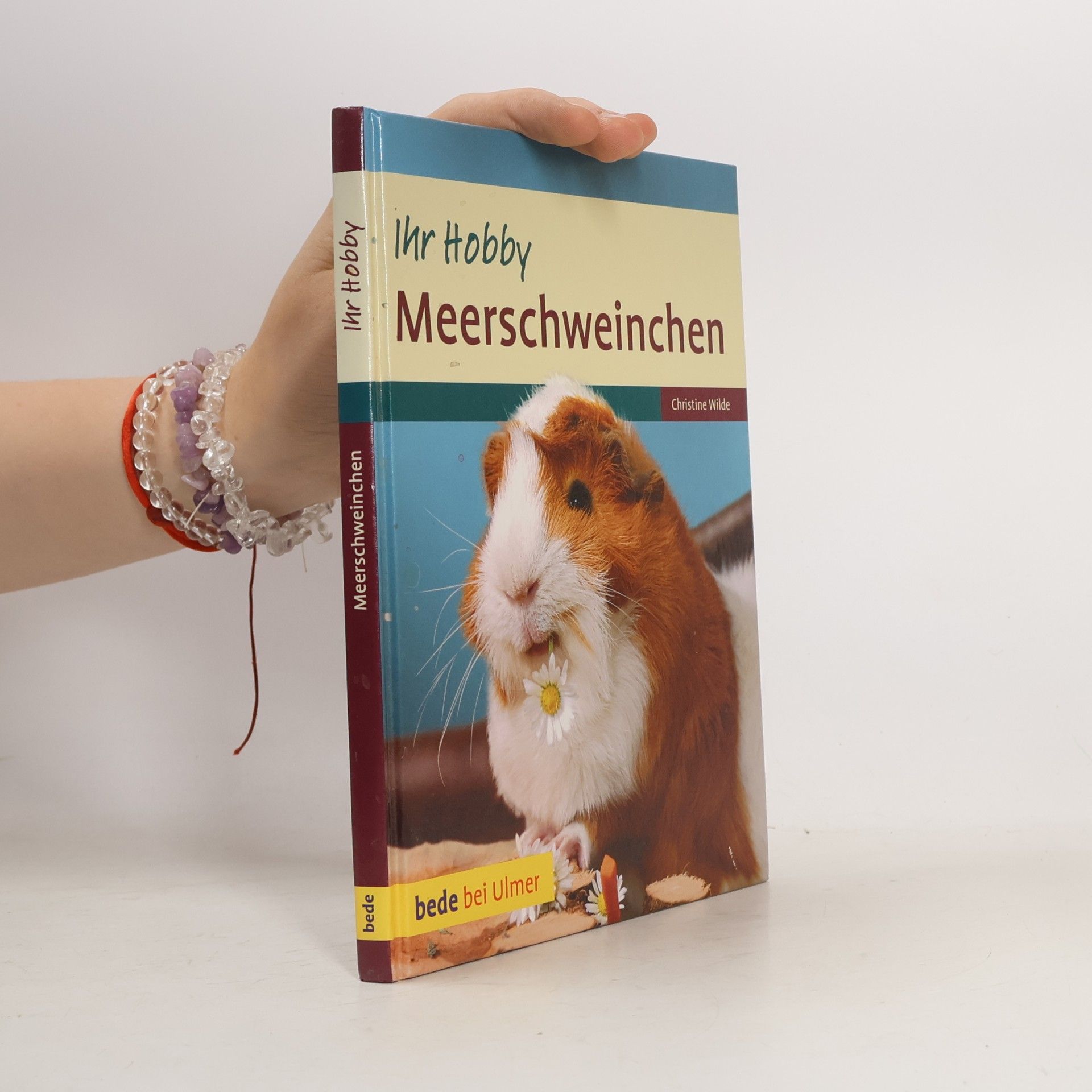 Christine Wilde Meerschweinchen