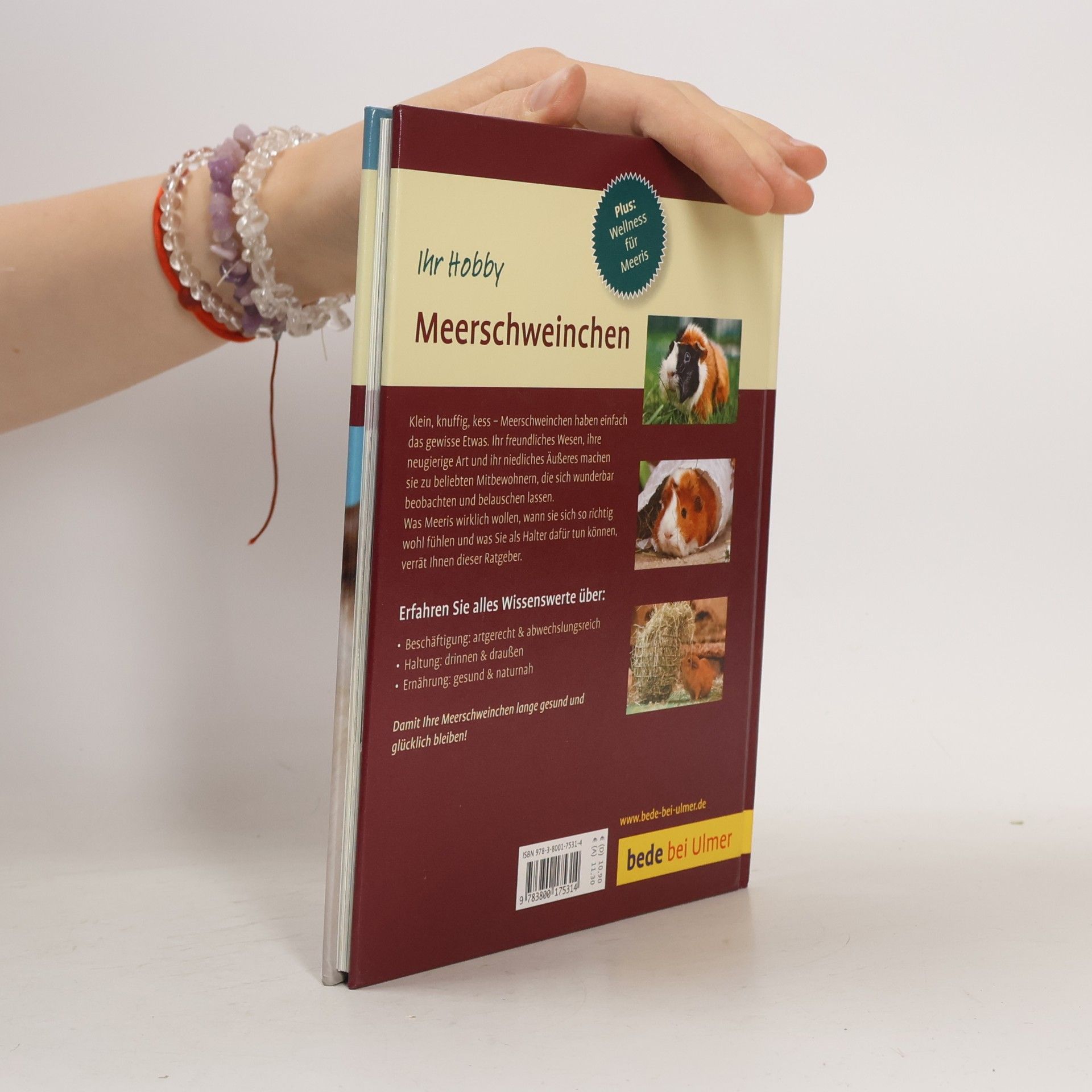 Christine Wilde Meerschweinchen