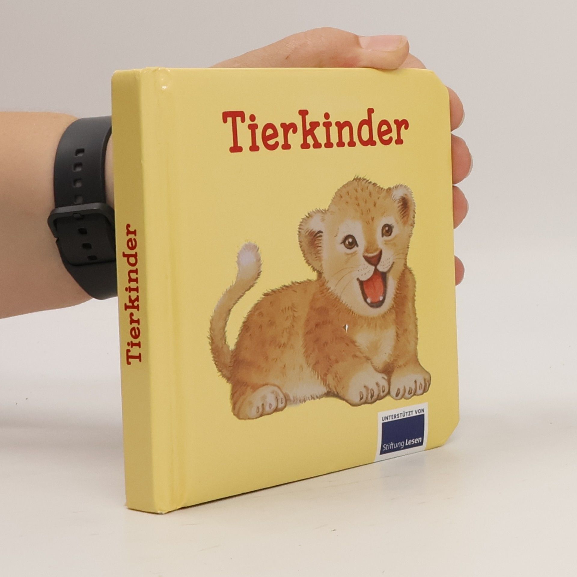 Autorenkollektiv Tierkinder
