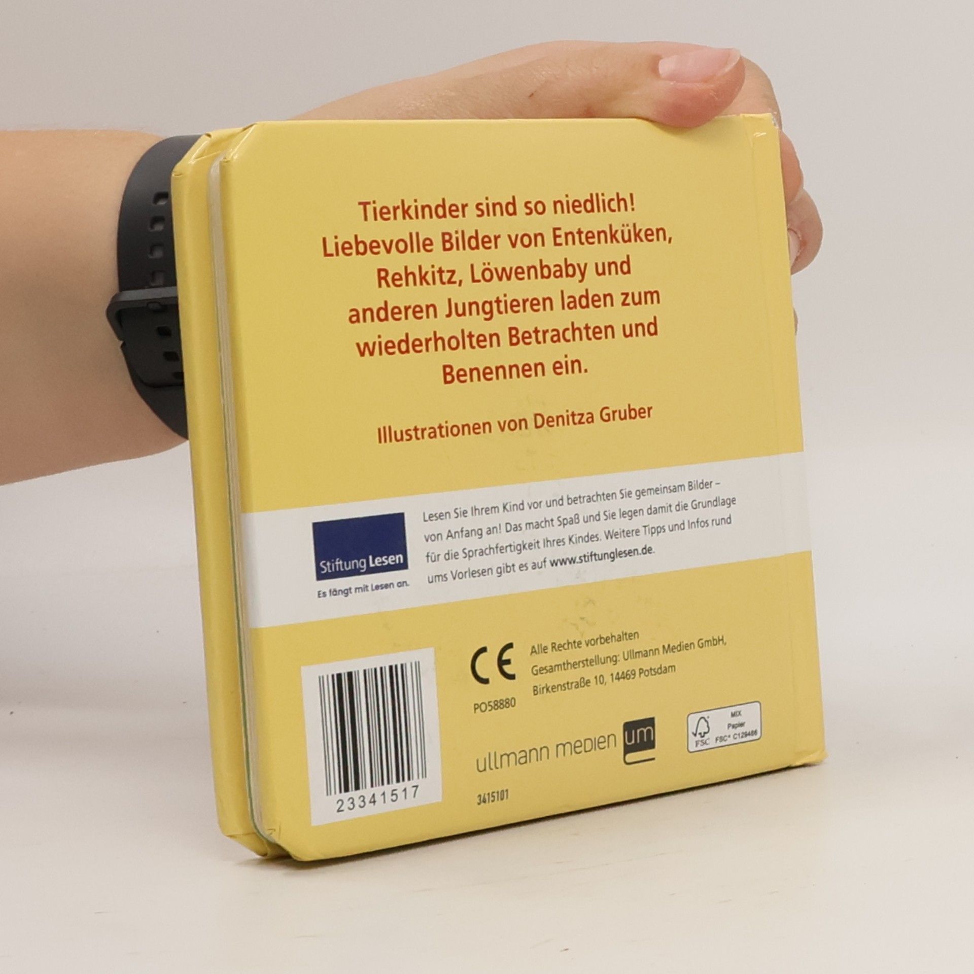 Autorenkollektiv Tierkinder