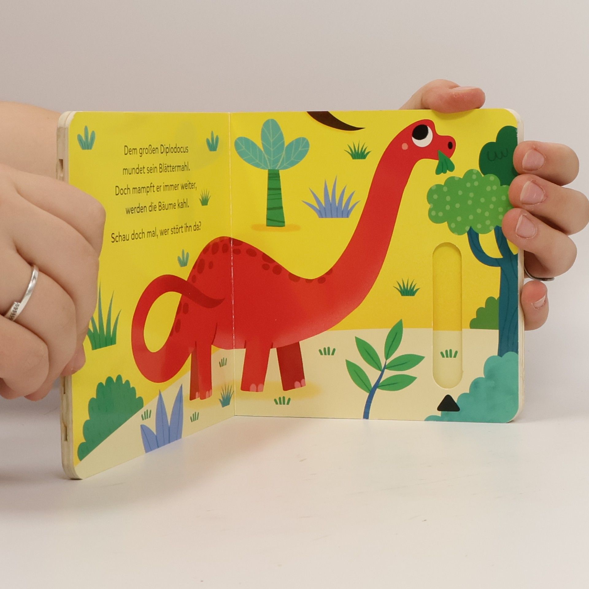 Sonia Baretti Wo sind die Dinos?