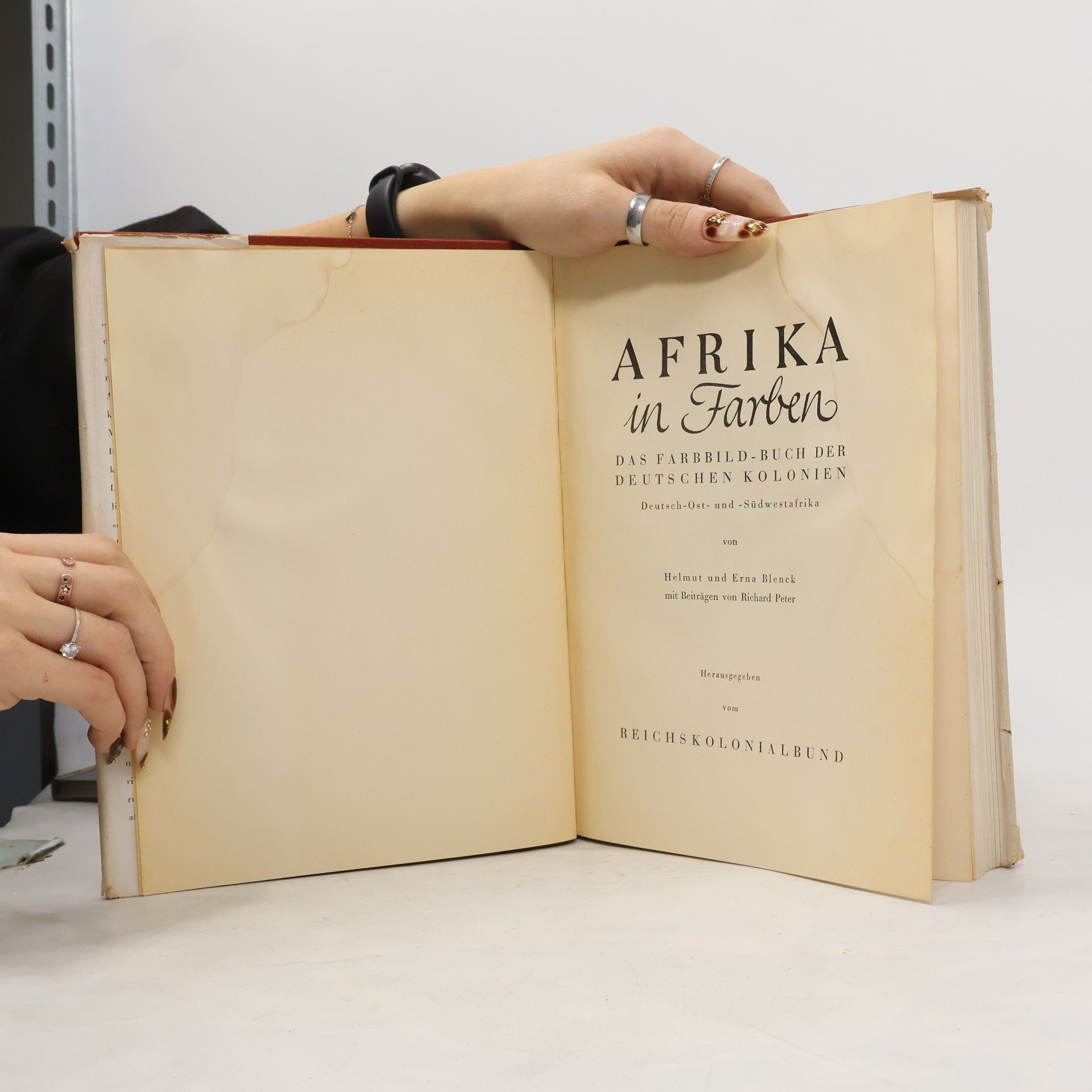 Autorenkollektiv Afrika in Farben
