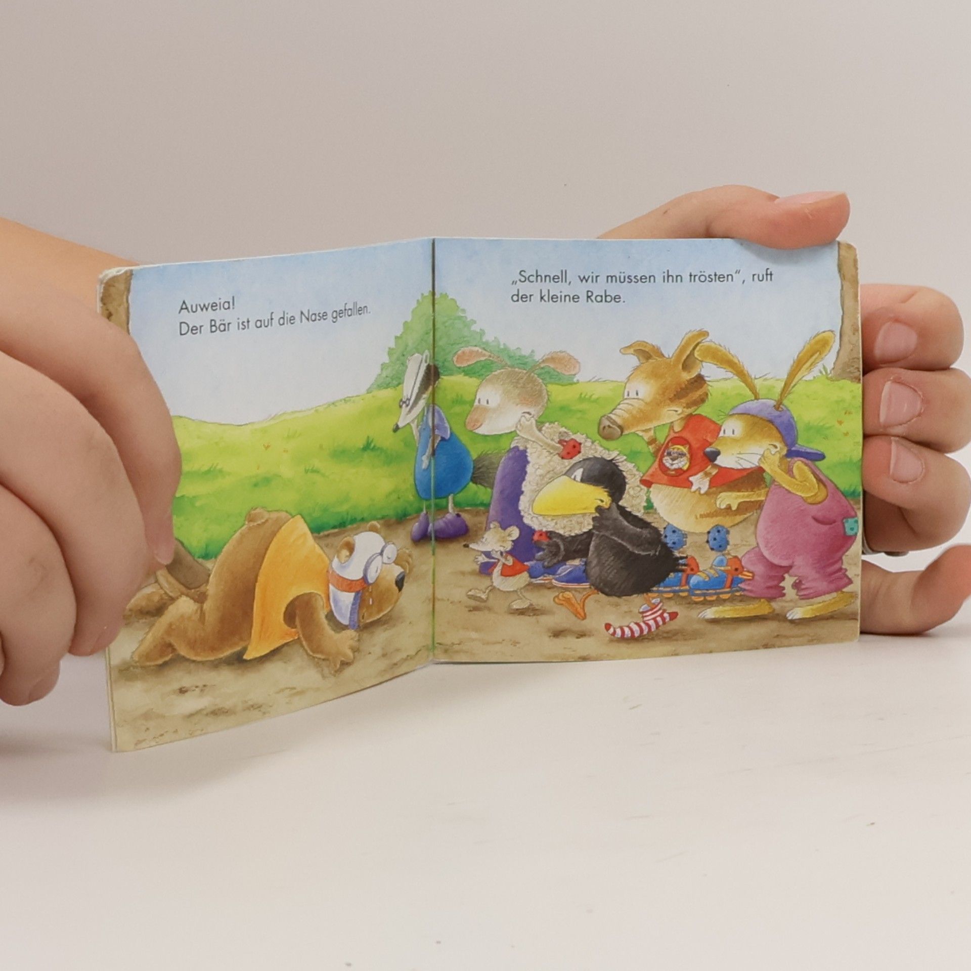 Nele Moost Der kleine Rabe Socke und seine Freunde