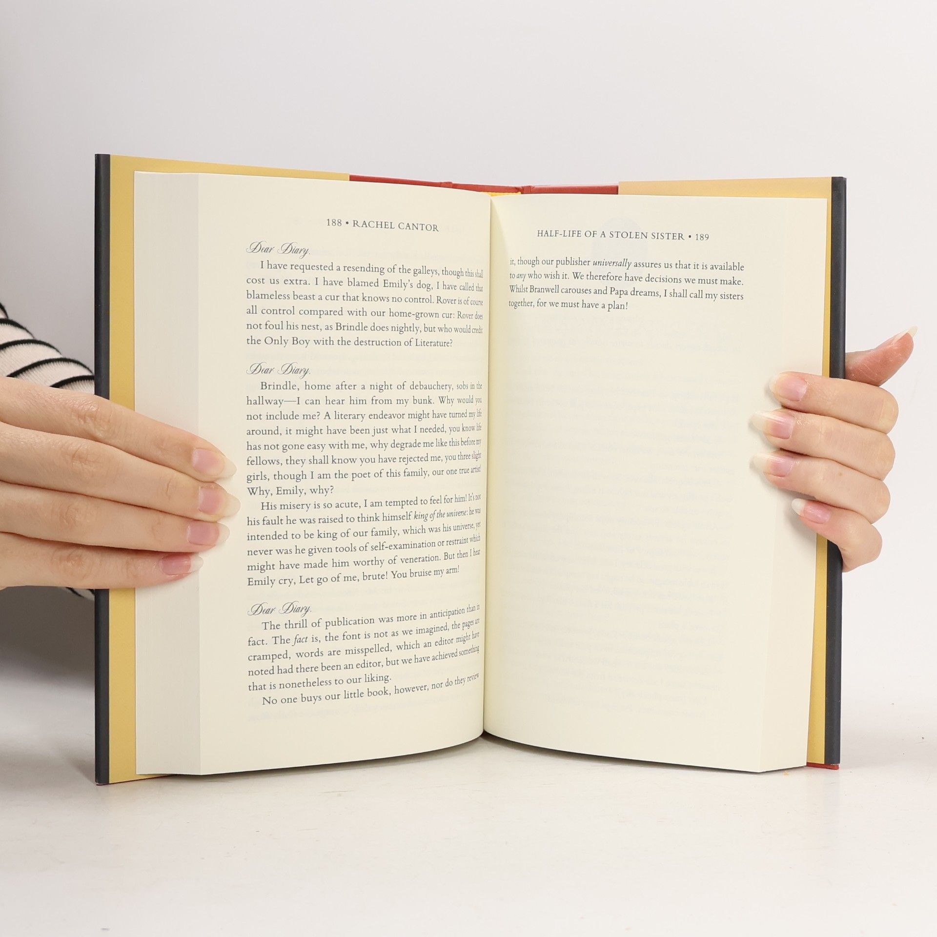 Rachel Cantor Half-Life of a Stolen Sister