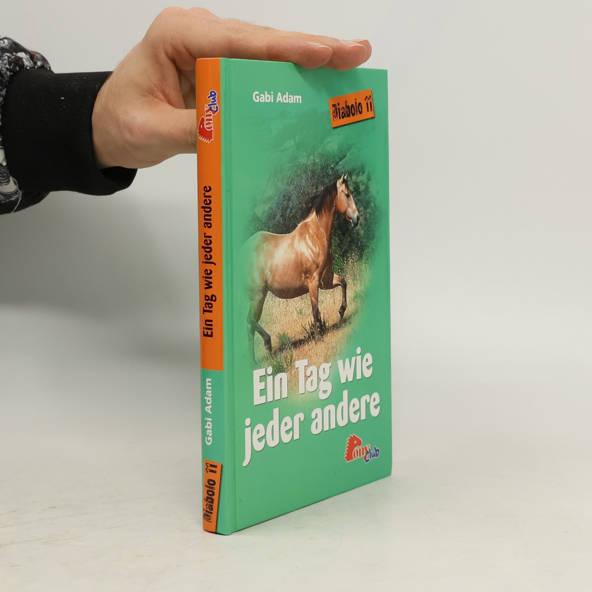 Gabi Adam Ein Tag wie jeder andere