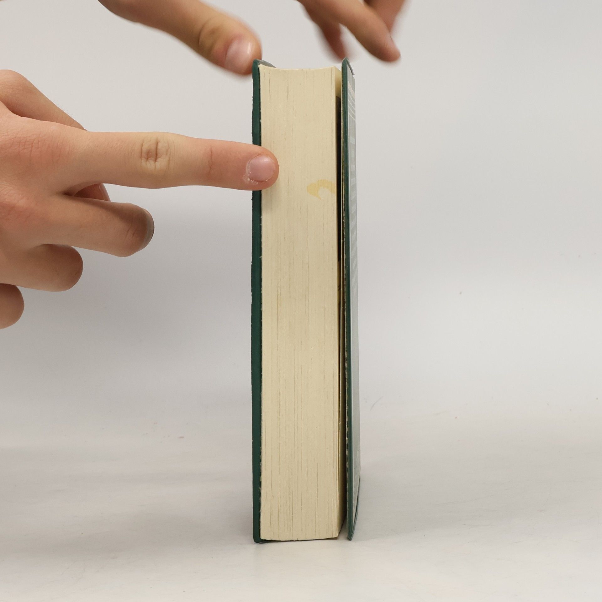 Walter Hansen Das Pfadfinder-Liederbuch