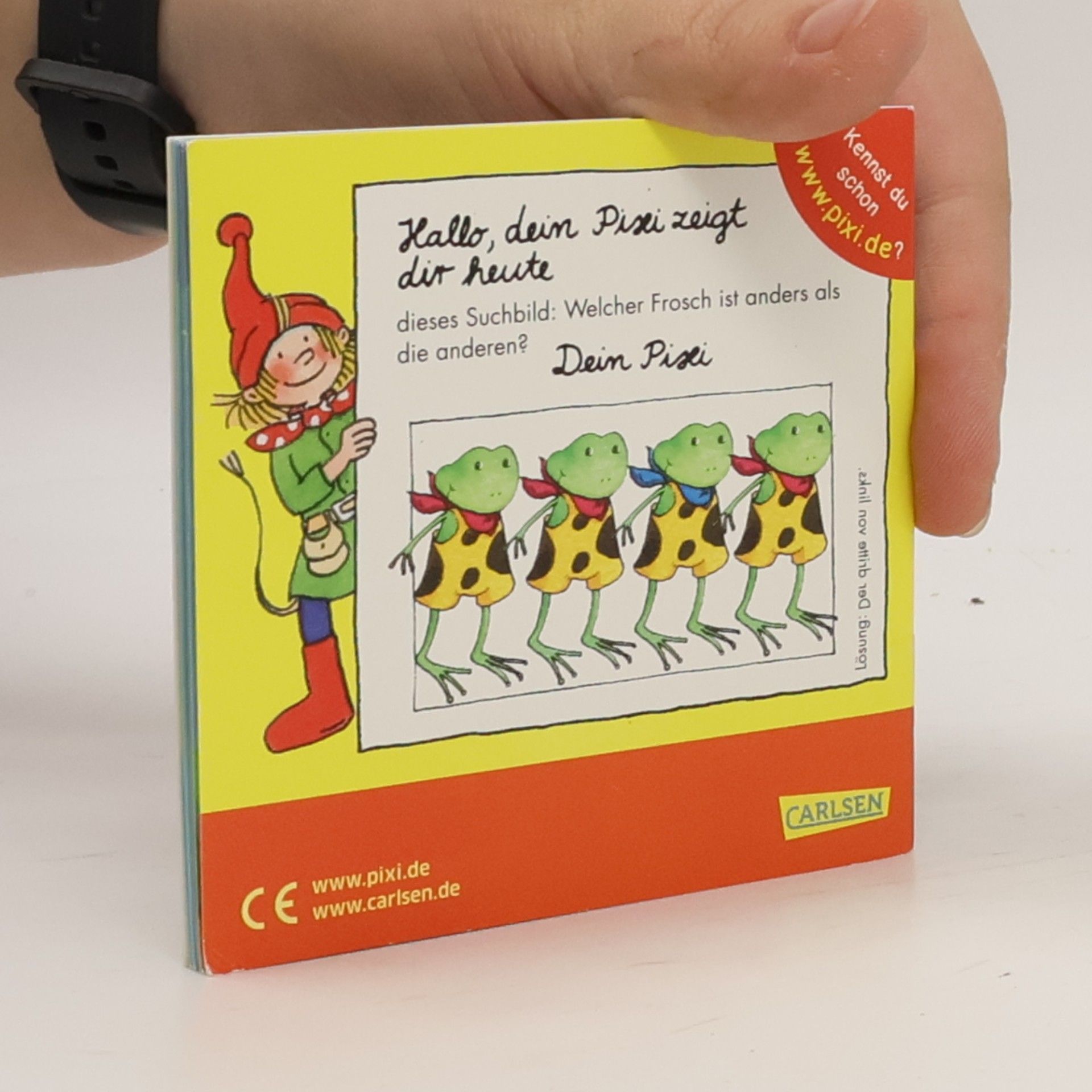 Autorenkollektiv Kleiner Frosch ganz groß