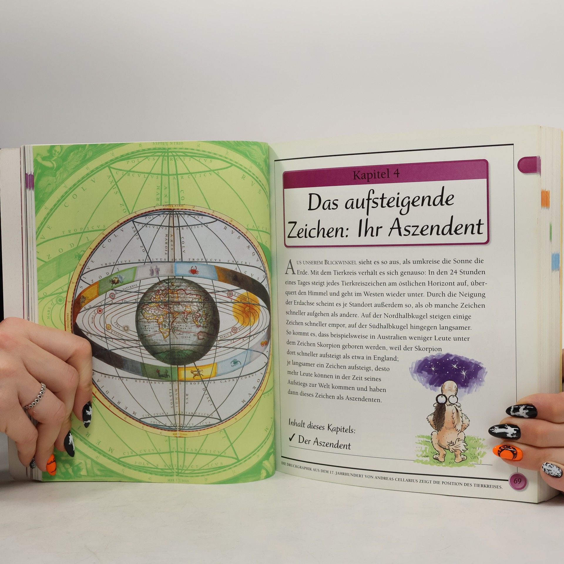 Julia Parker Das Einsteiger-Handbuch Astrologie