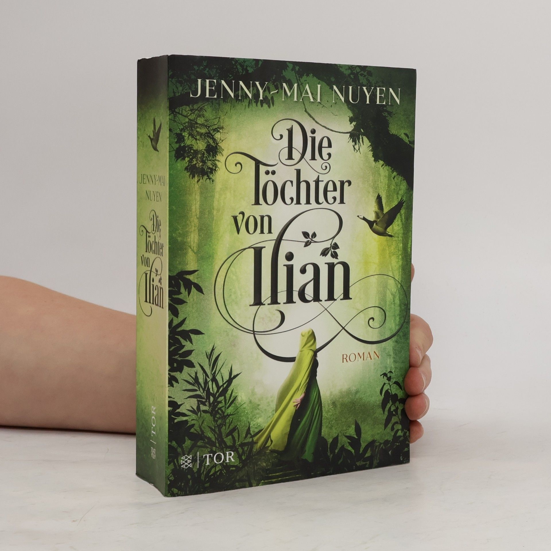 Die Töchter von Ilian