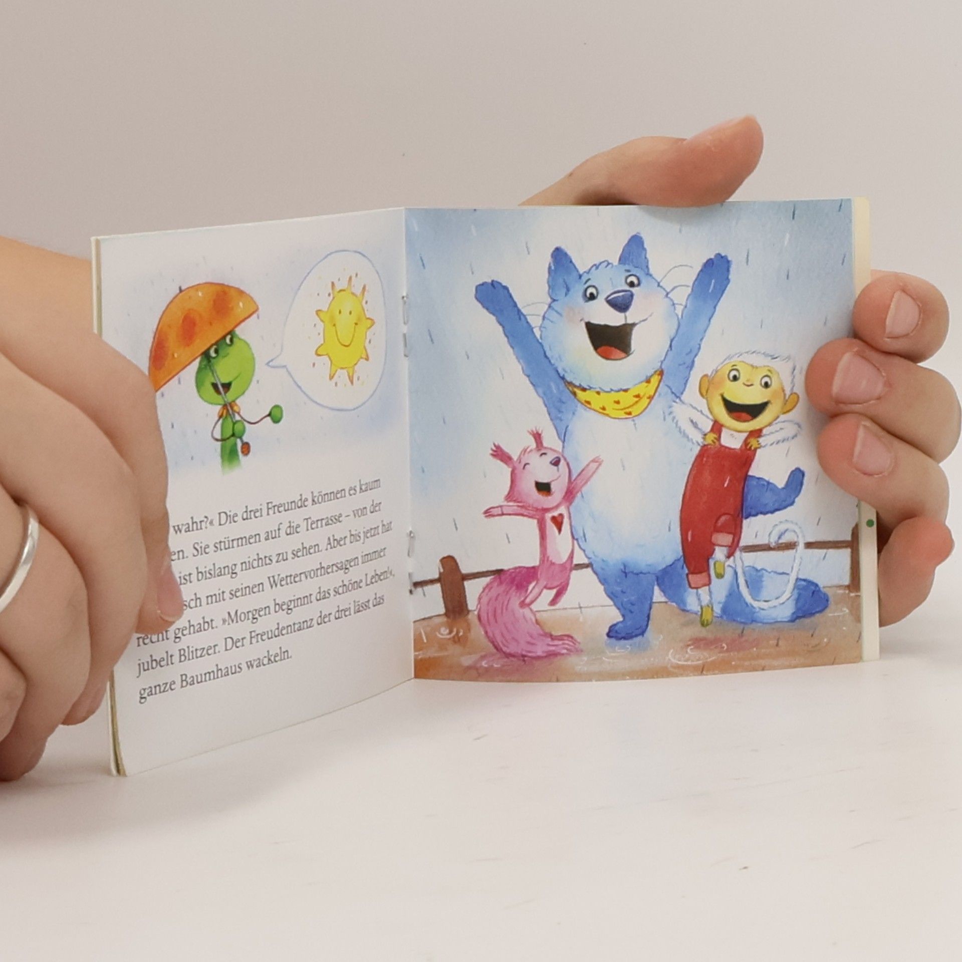 kolektiv Pepe, Blitzer und Katze