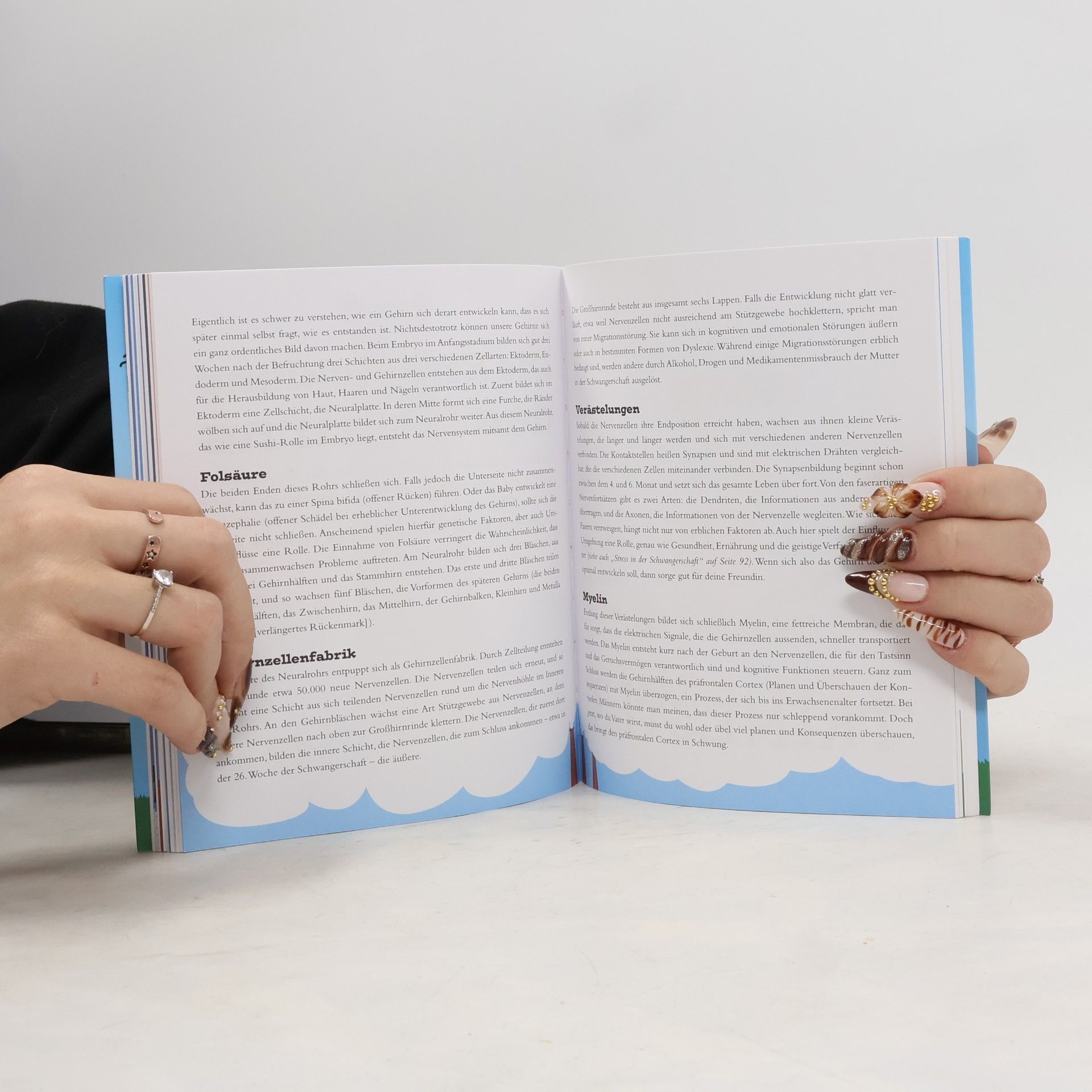 Gerard Janssen Schwangerschaftsbuch für Männer