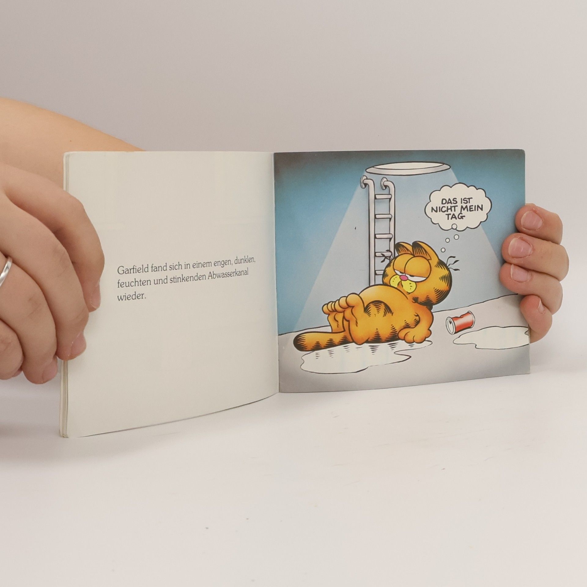 Jim Davis Garfield im Untergrund
