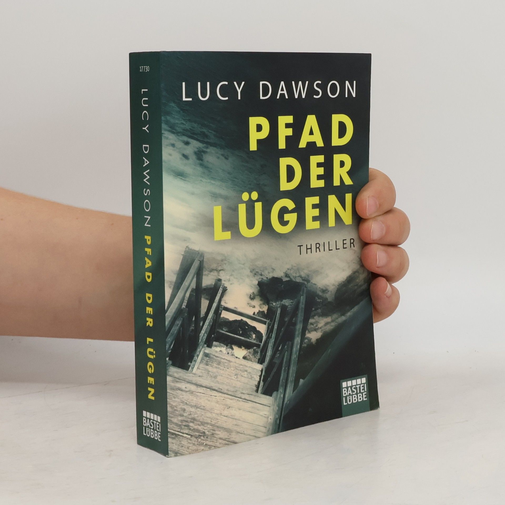 Lucy Dawson Pfad der Lügen