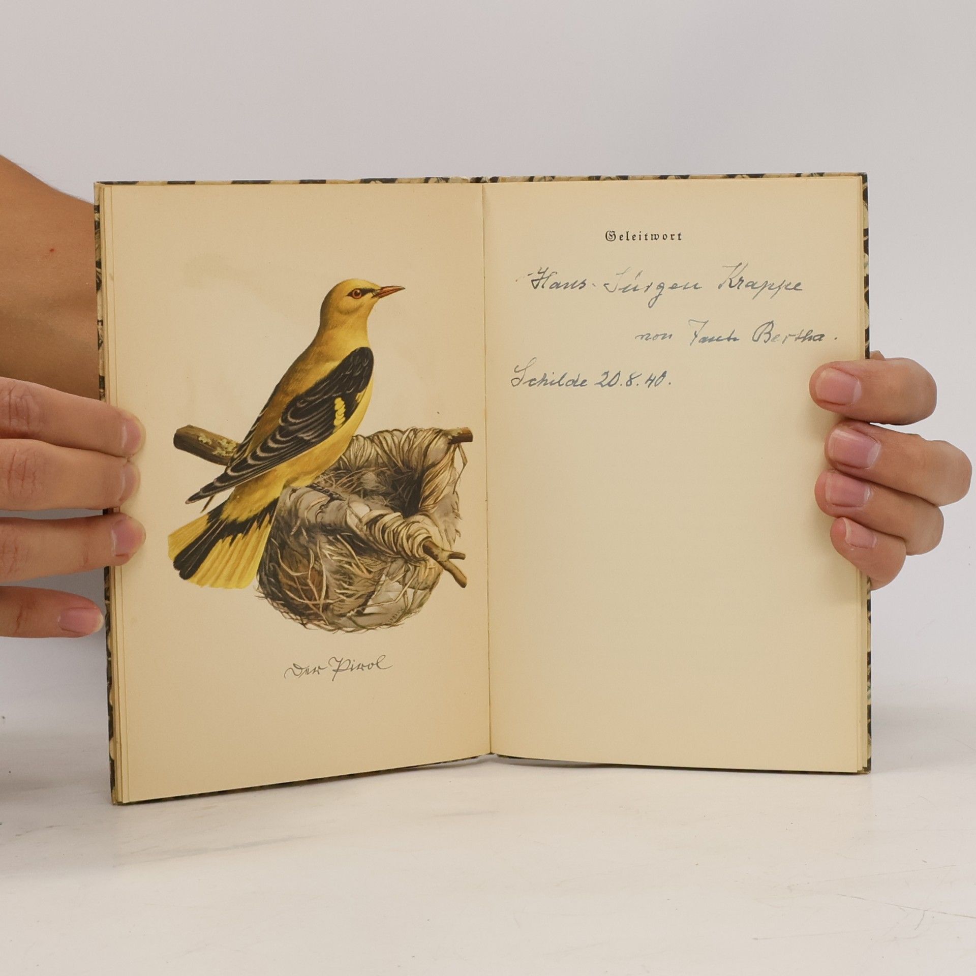 Friz Kredel Das kleine Buch der Vögel und Nester