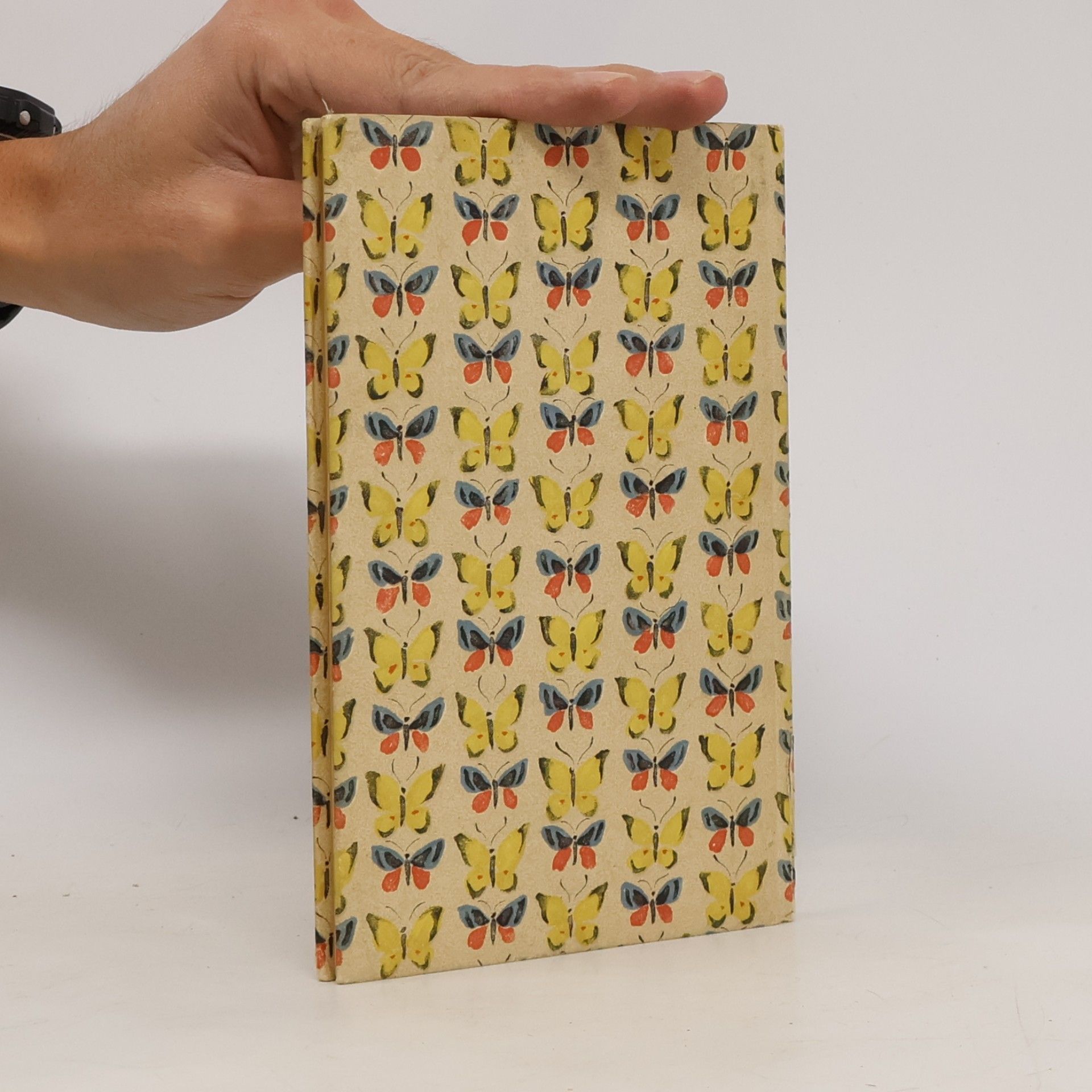 Jacob Hübner Das kleine Schmetterlingsbuch
