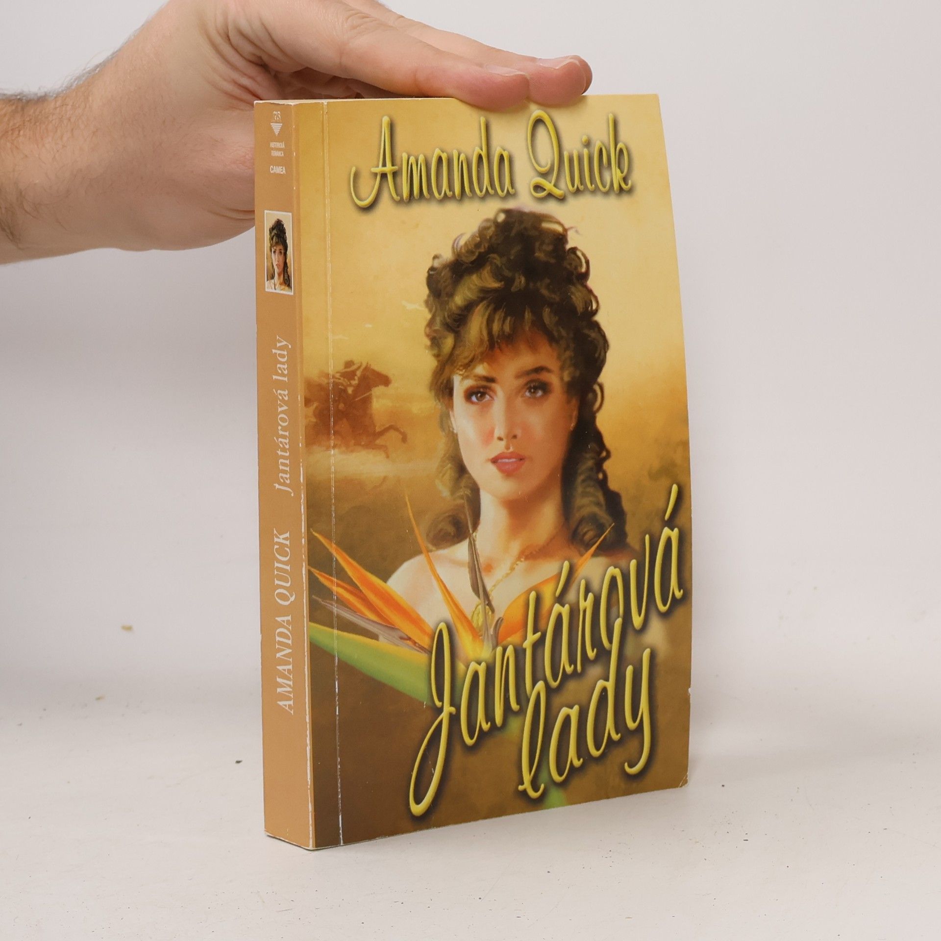 Amanda Quick Jantárová lady
