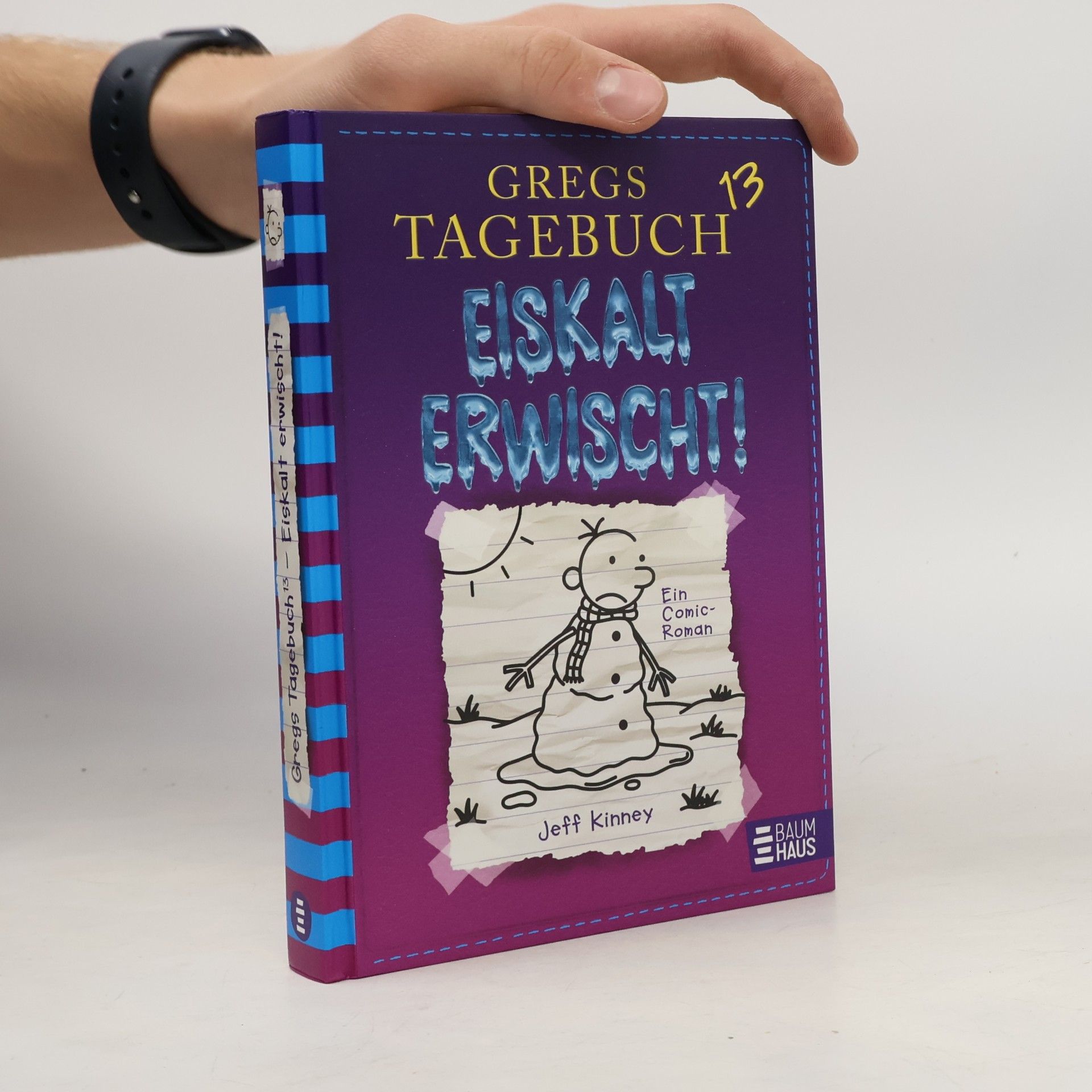 Gregs Tagebuch 13. Eiskalt Erwisch!