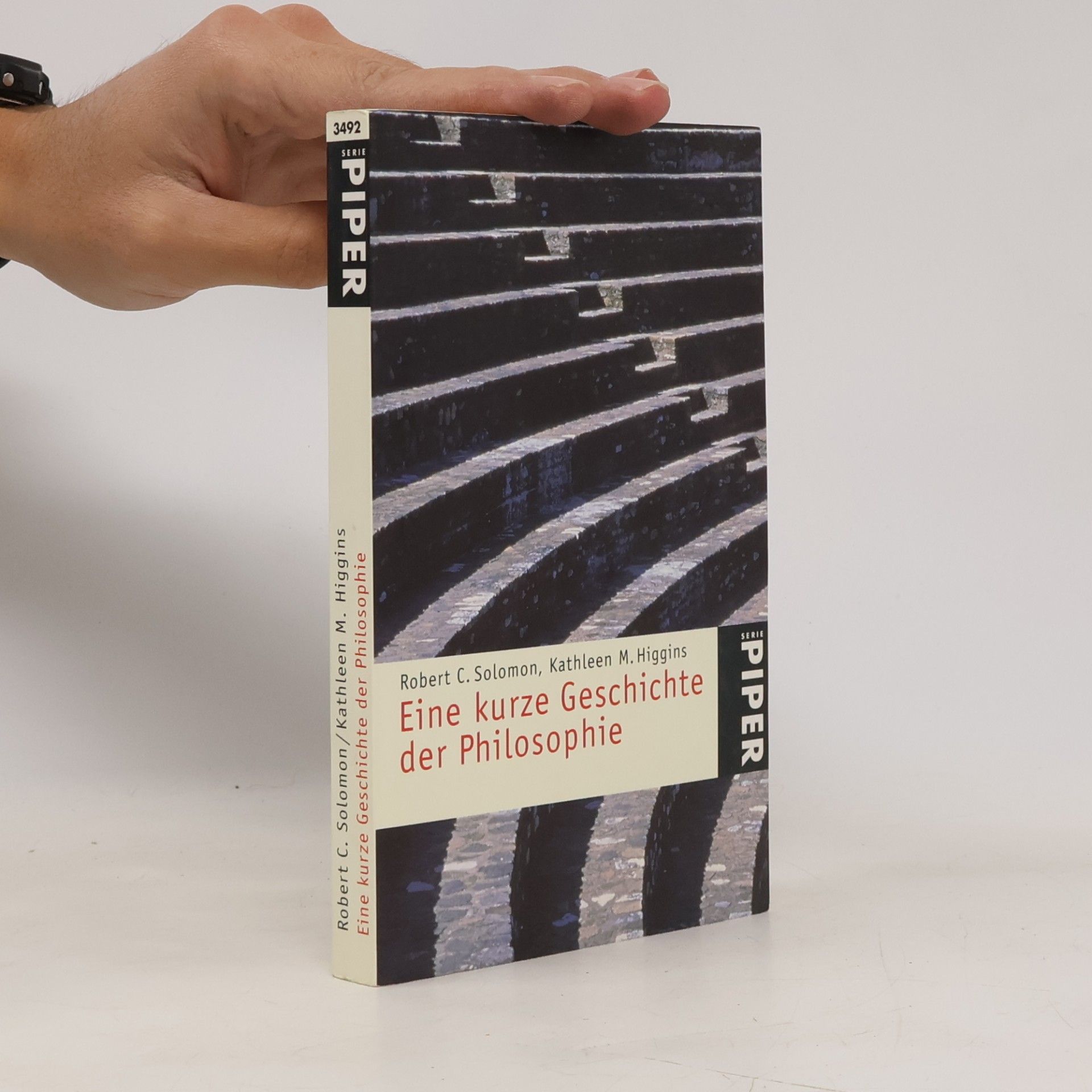 Kathleen Marie Higgins Piper Taschenbuch - 3492: Eine kurze Geschichte der Philosophie