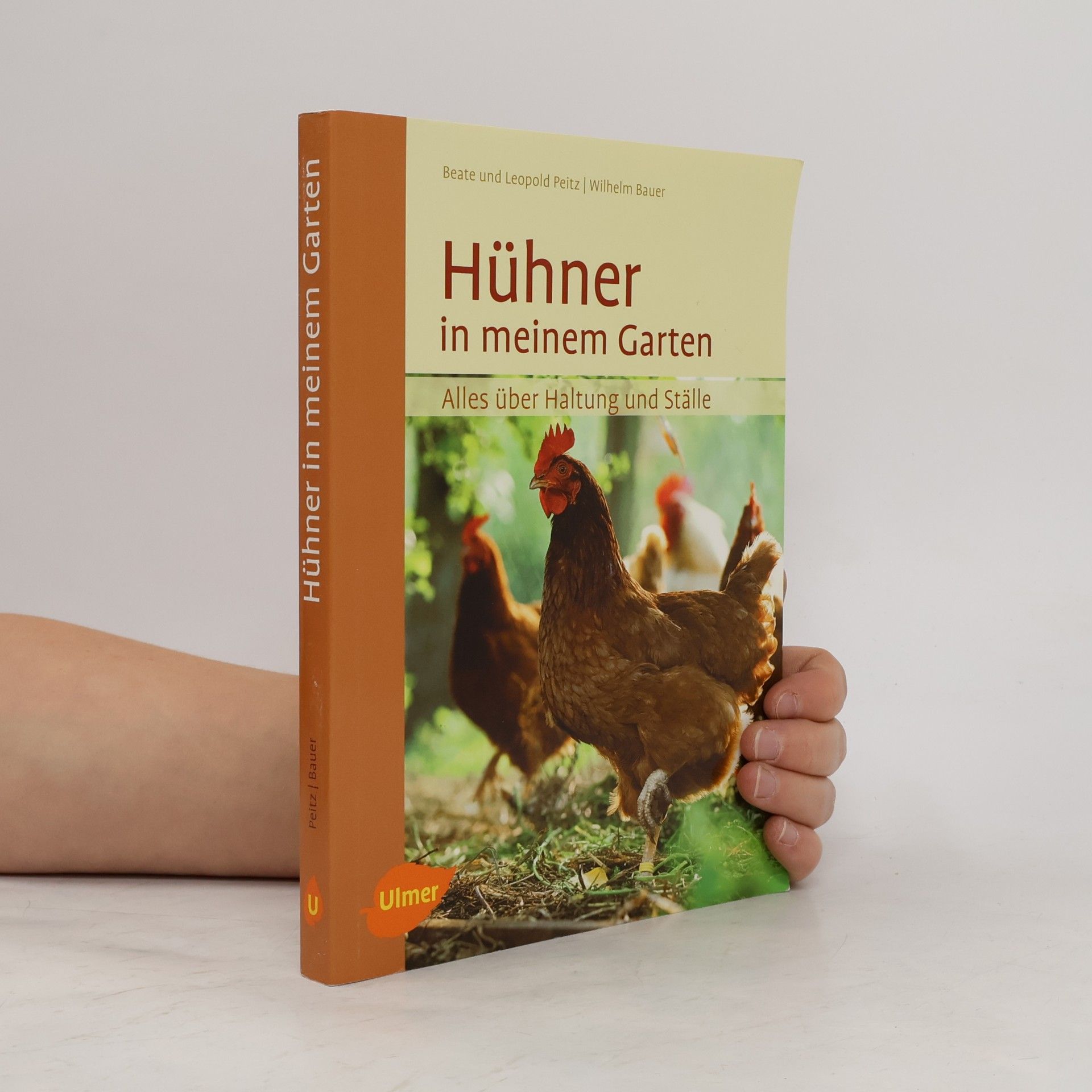Hühner in meinem Garten