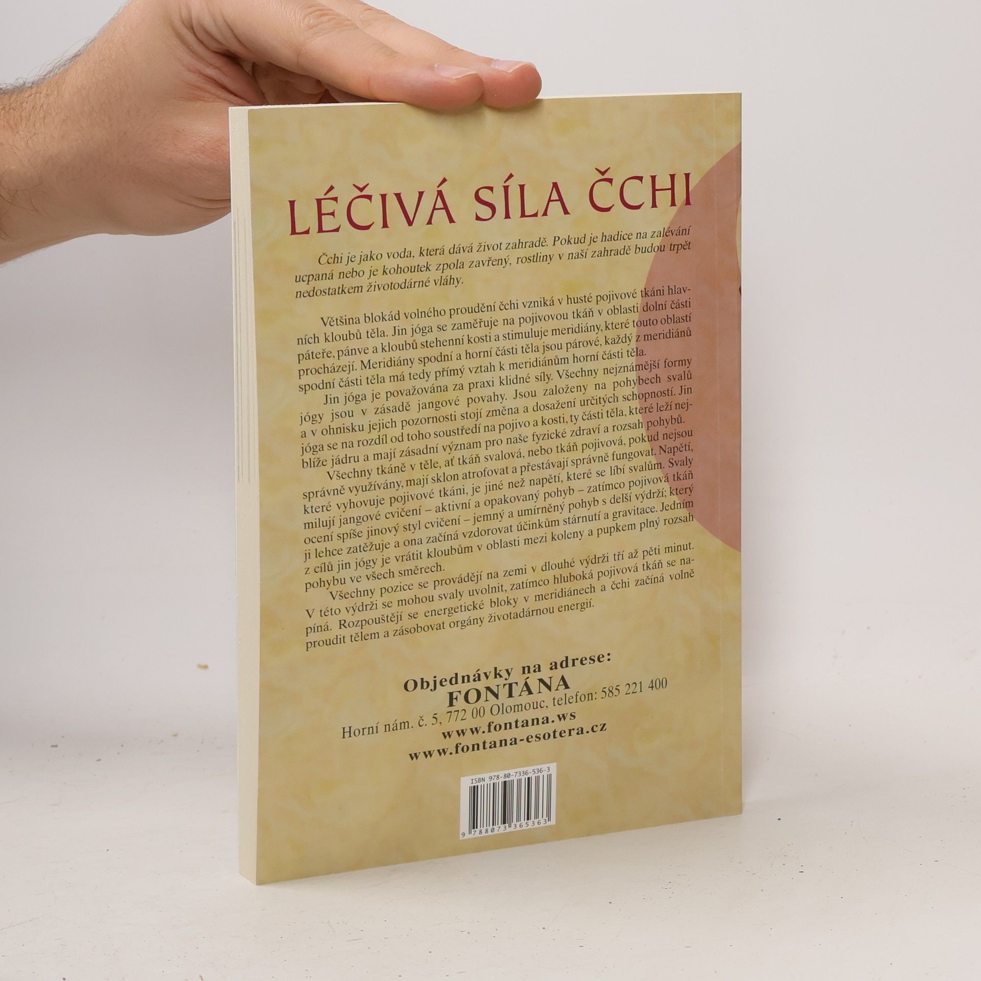 Biff Mithoefer Jin jóga - Cvičení na posílení čchi a čaker